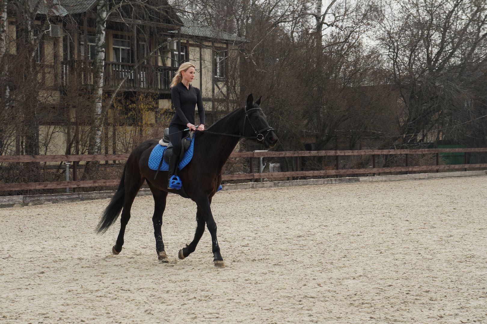 котельники, конный спорт, занятия на каникулах, занятия на свежем воздухе, спортивная школа,