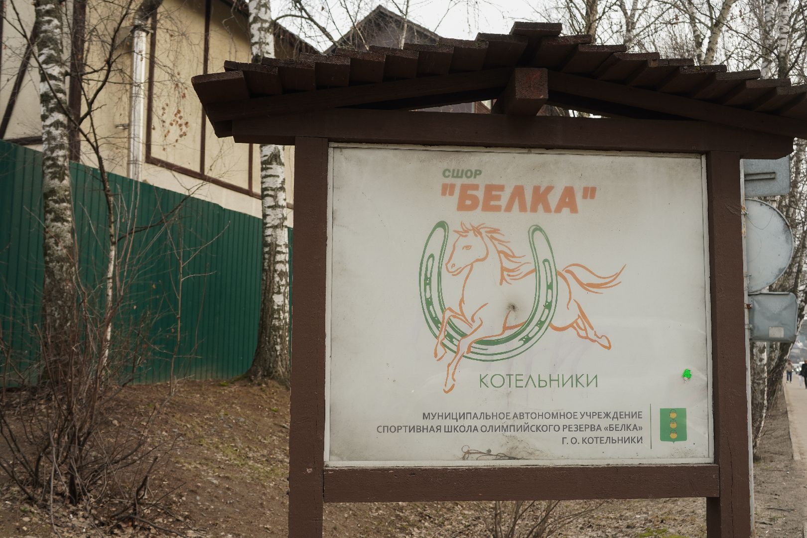 котельники, конный спорт, занятия на каникулах, занятия на свежем воздухе, спортивная школа,