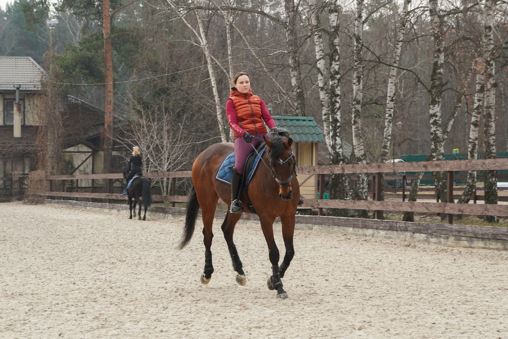 котельники, конный спорт, занятия на каникулах, занятия на свежем воздухе, спортивная школа,