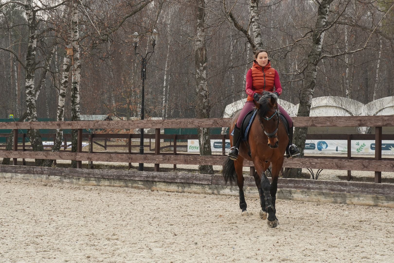 котельники, конный спорт, занятия на каникулах, занятия на свежем воздухе, спортивная школа,