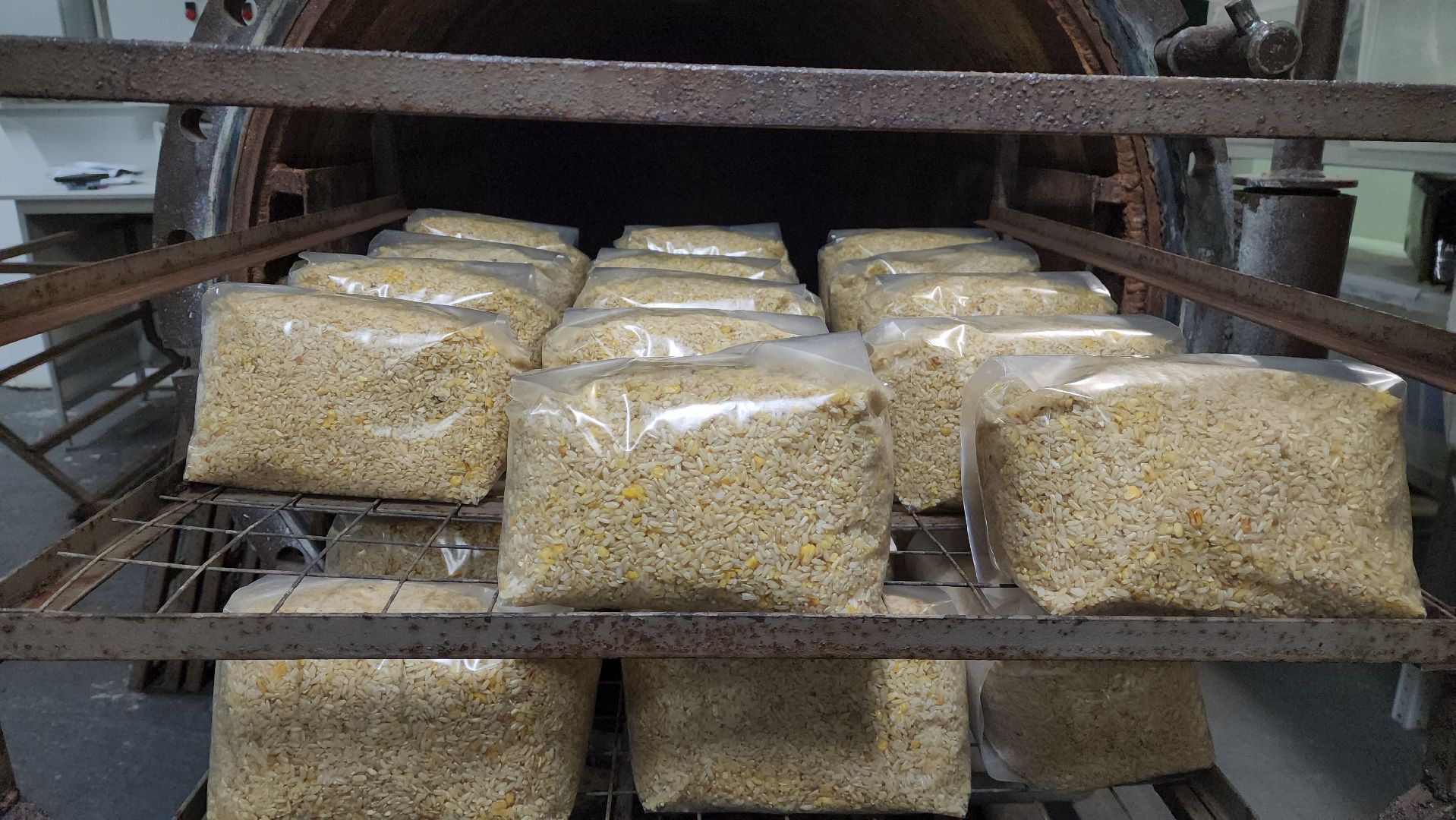 красногорск, нахабино, грибная ферма, сделано в подмосковье,