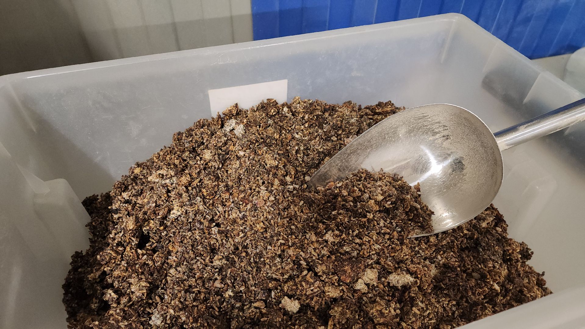 красногорск, нахабино, грибная ферма, сделано в подмосковье,