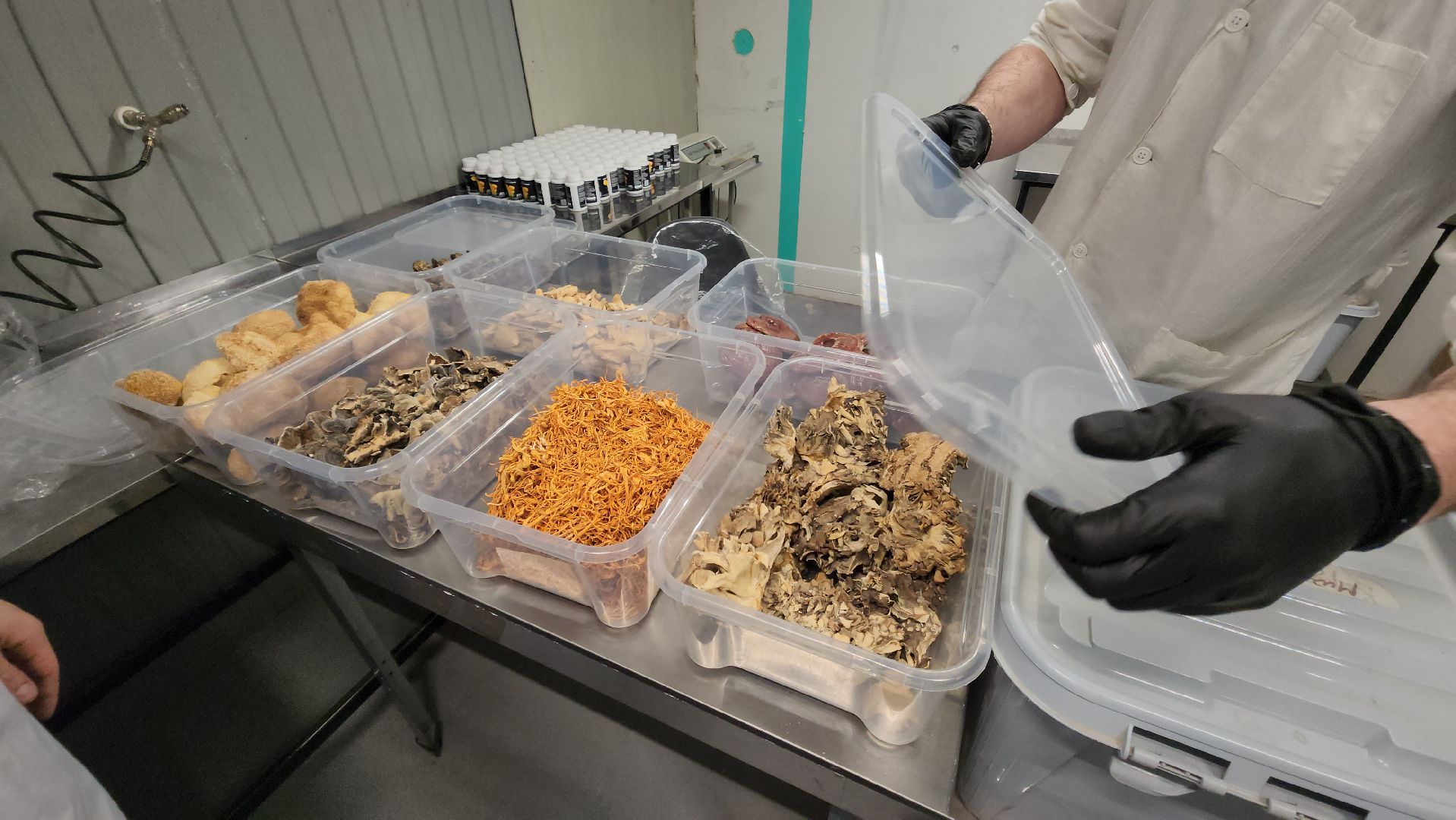 красногорск, нахабино, грибная ферма, сделано в подмосковье,