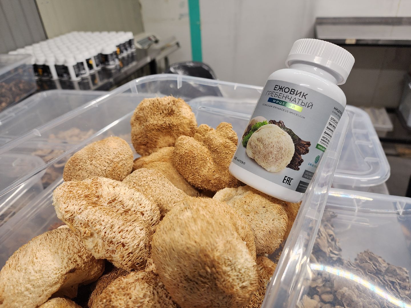 красногорск, нахабино, грибная ферма, сделано в подмосковье,