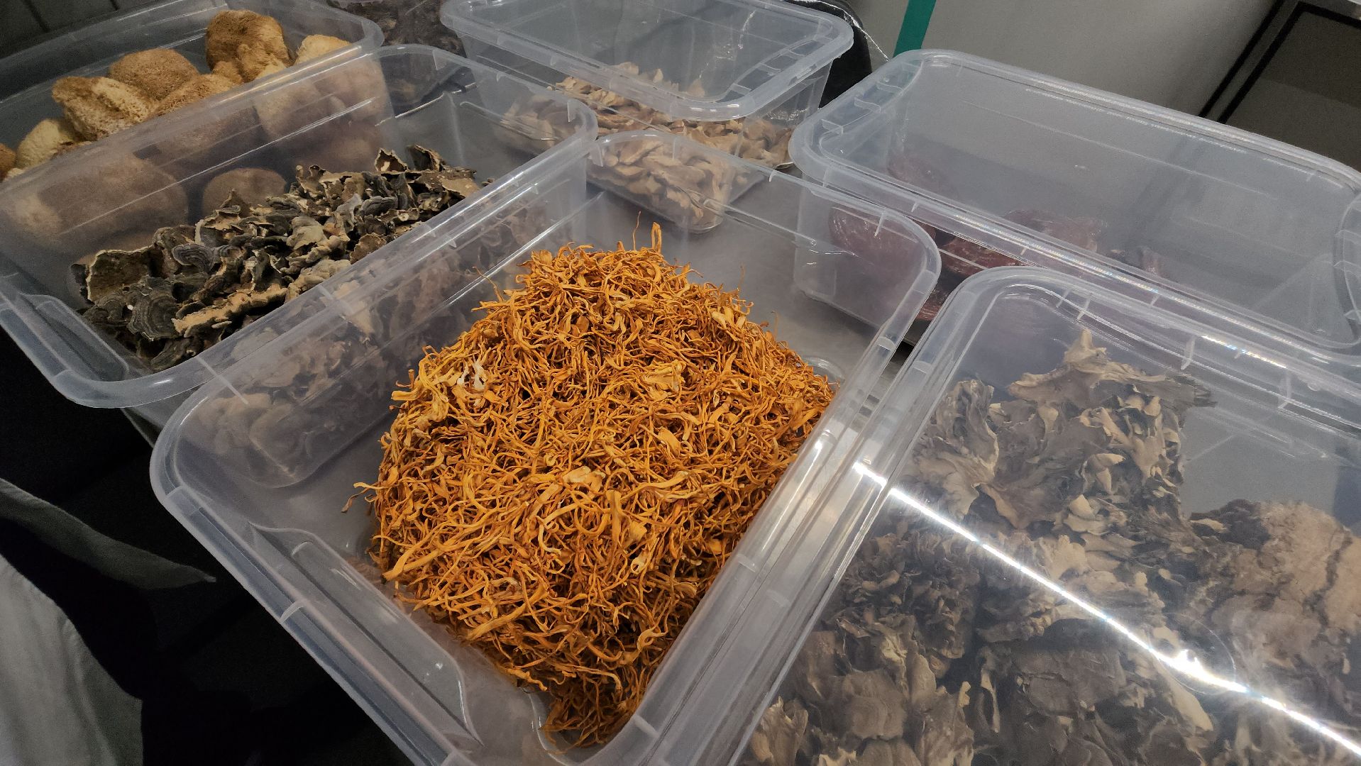 красногорск, нахабино, грибная ферма, сделано в подмосковье,