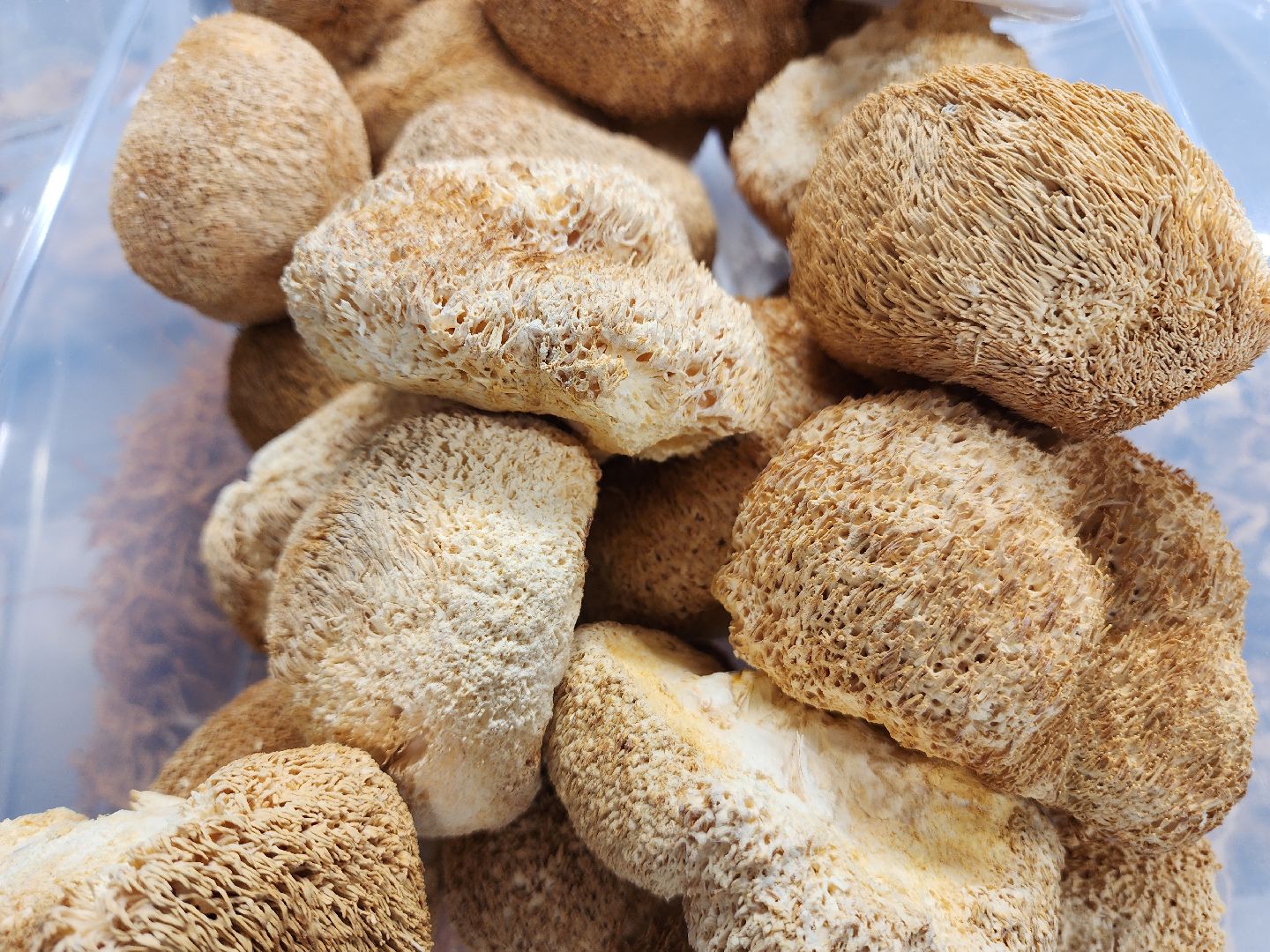 красногорск, нахабино, грибная ферма, сделано в подмосковье,