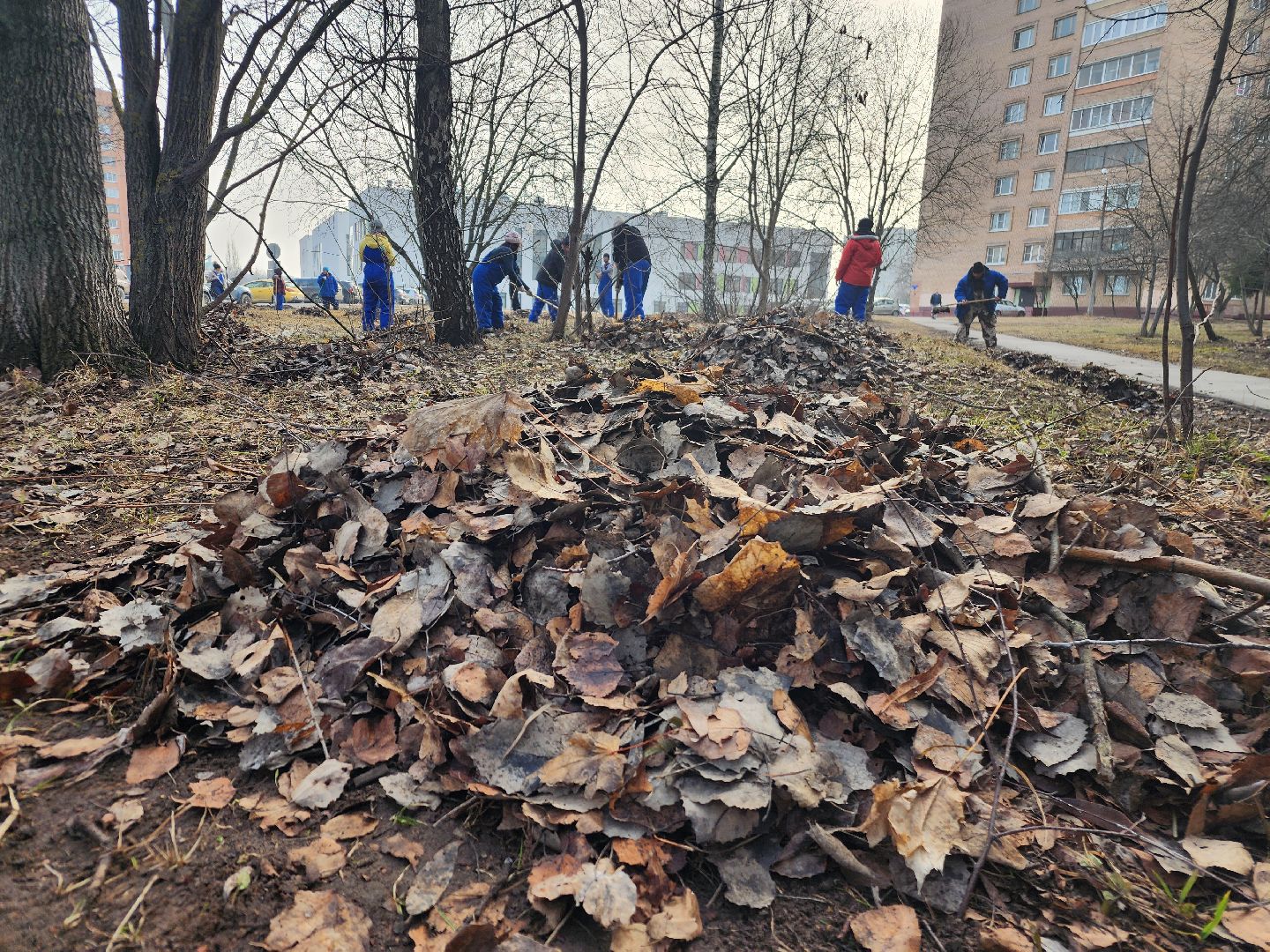 фрязино, уборка улиц, уборка газонов, благоустройство,