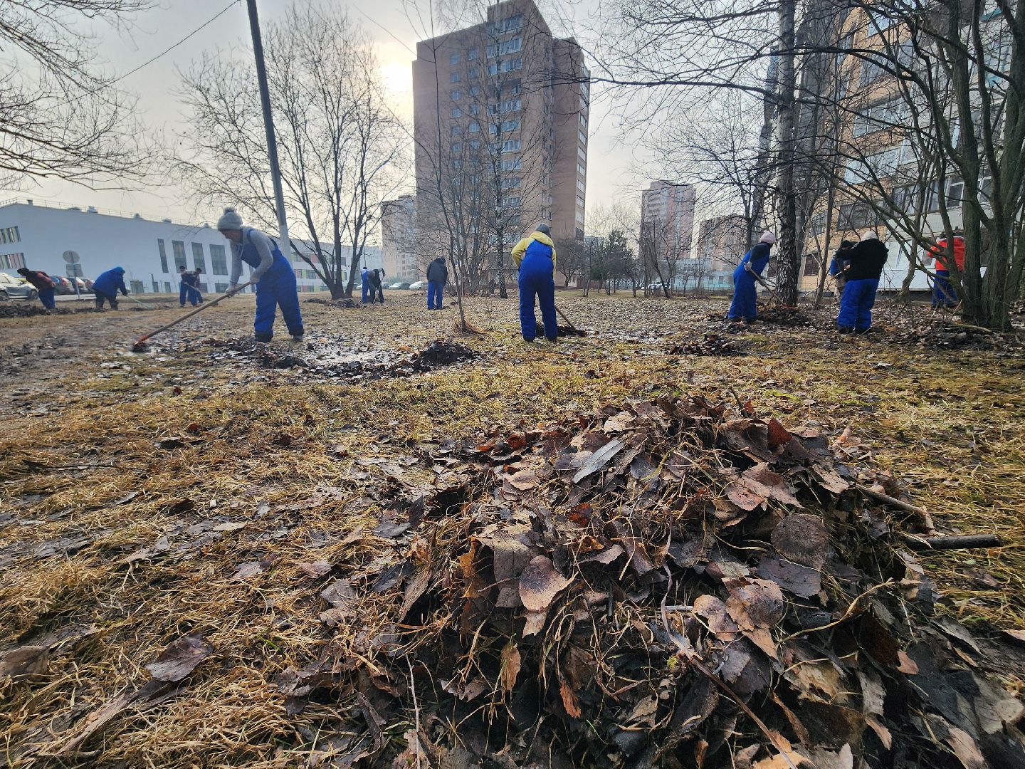 фрязино, уборка улиц, уборка газонов, благоустройство,