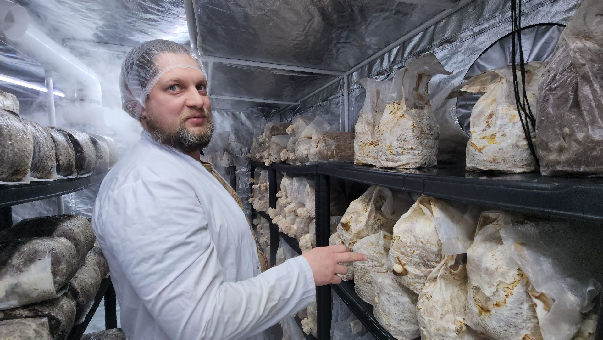 красногорск, сделано в подмосковье, грибы, импортозамещение,