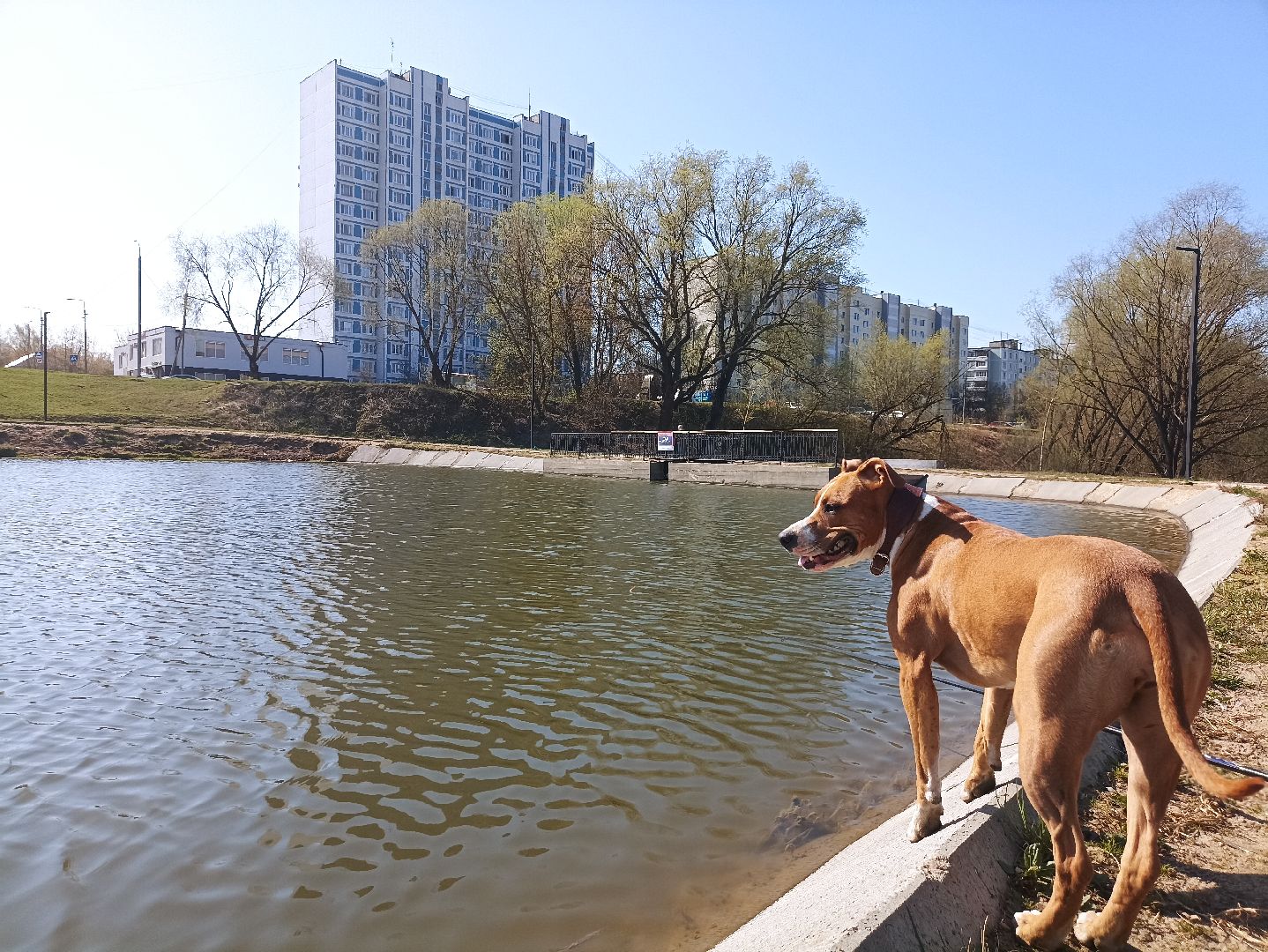 Серпухов, Подмосковье, рыбалка, пруд, весна