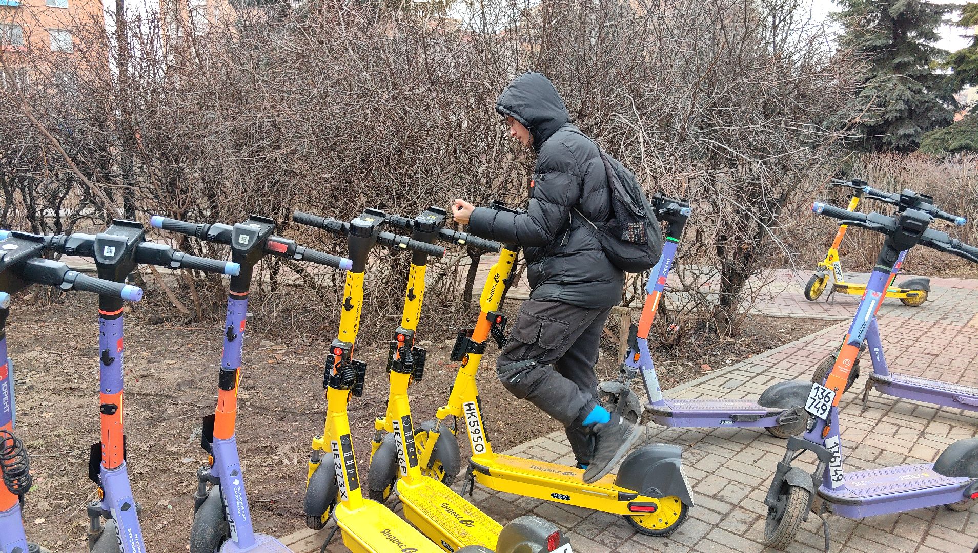 кикшеринг, парковка, сим, пдд, приложение,