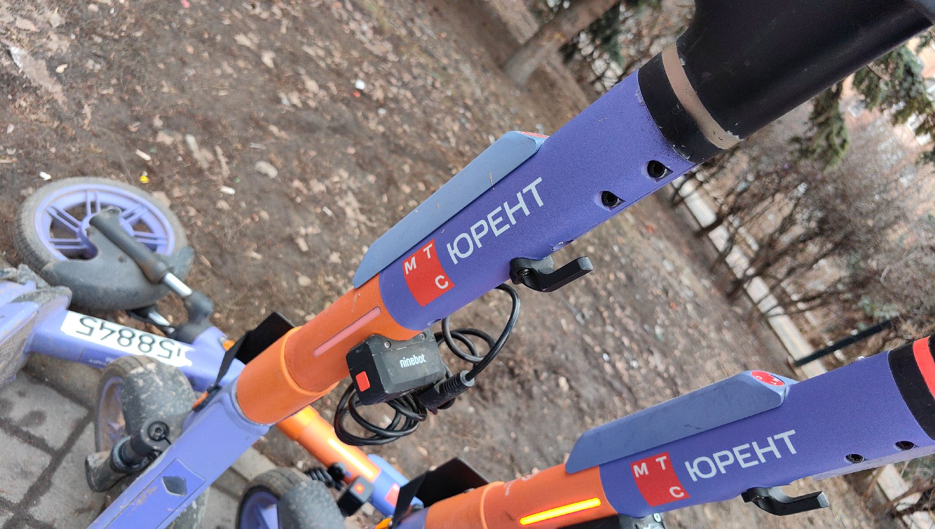 кикшеринг, парковка, сим, пдд, приложение,