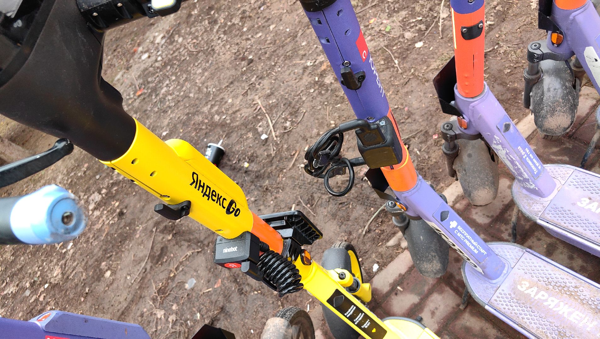 кикшеринг, парковка, сим, пдд, приложение,