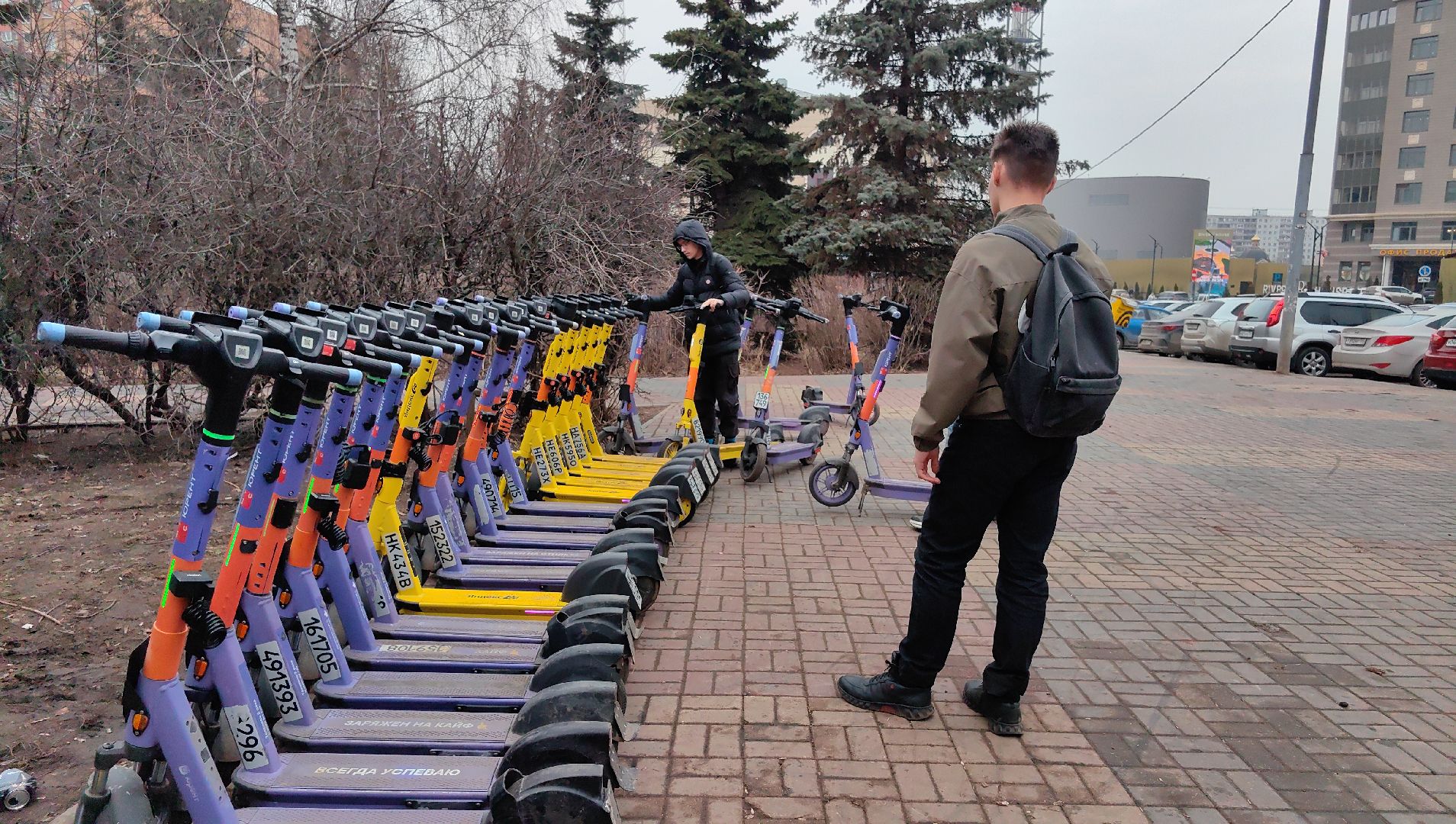 кикшеринг, парковка, сим, пдд, приложение,