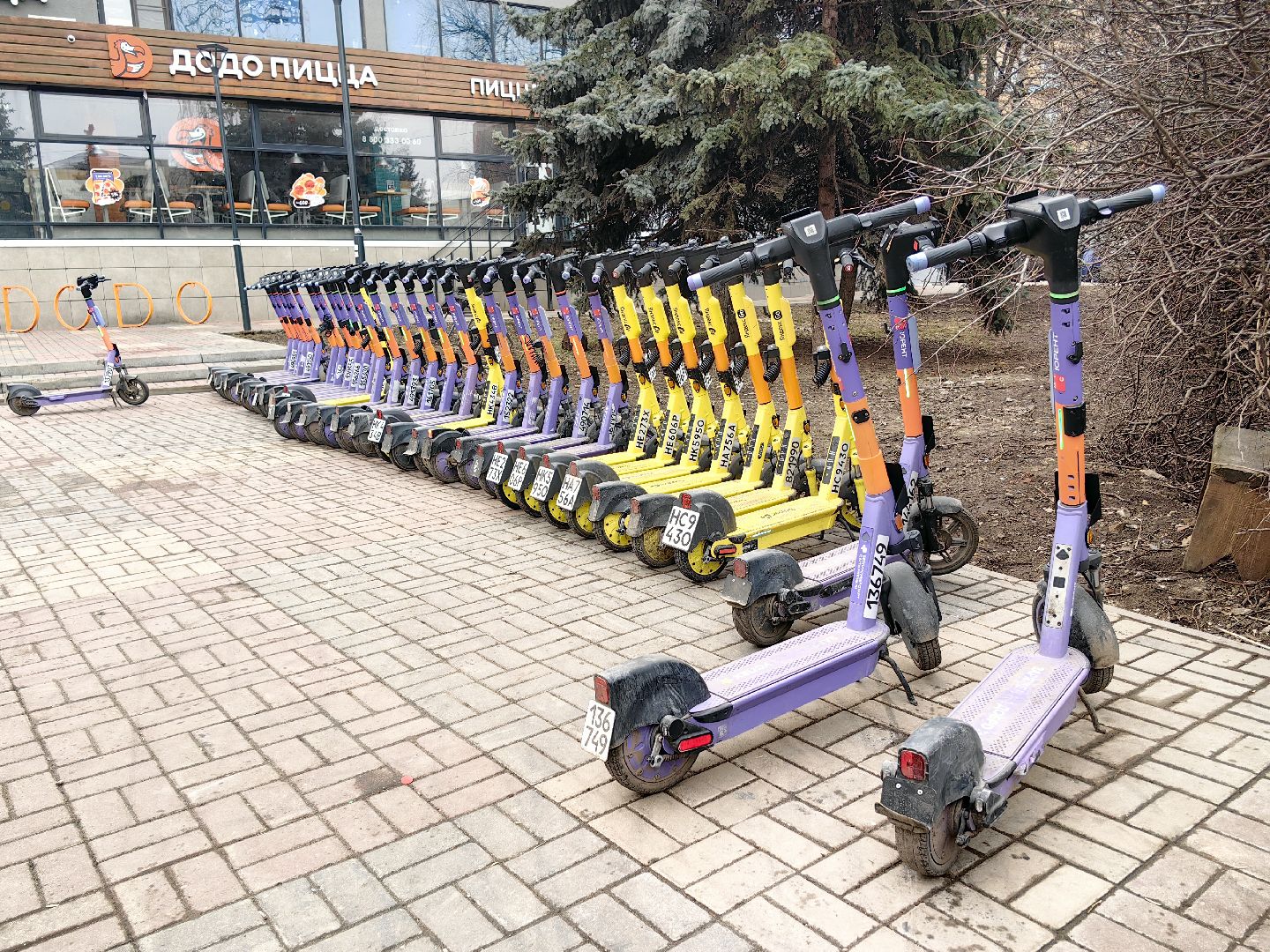 кикшеринг, парковка, сим, пдд, приложение,