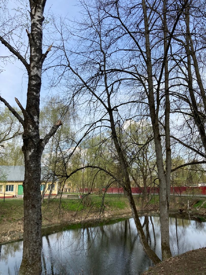 Солнечногорск, ЦМИС, пруд, благоустройство, Львовский парк