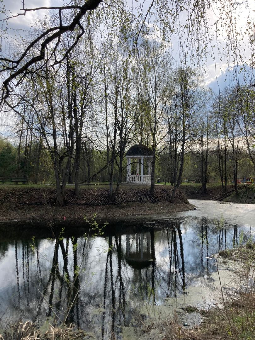 Солнечногорск, ЦМИС, пруд, благоустройство, Львовский парк