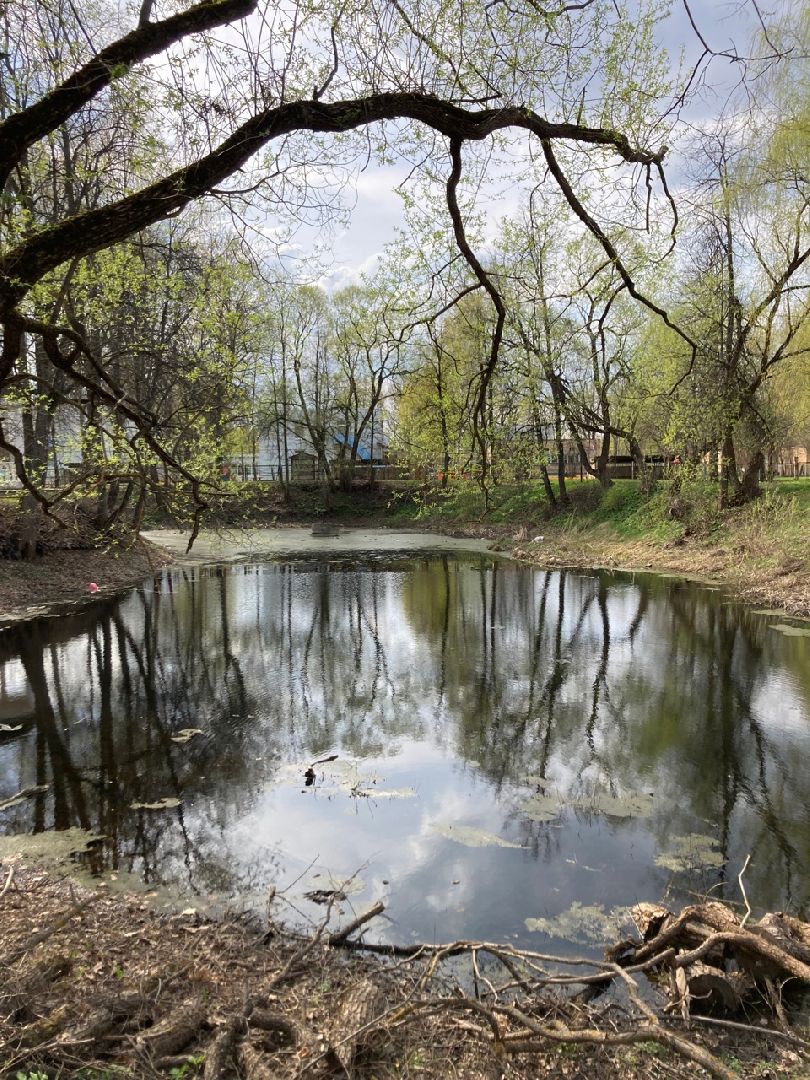 Солнечногорск, ЦМИС, пруд, благоустройство, Львовский парк
