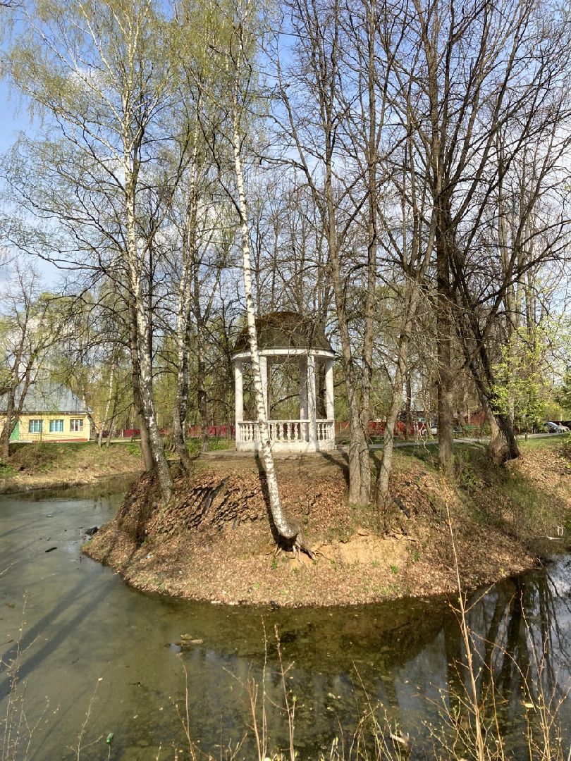 Солнечногорск, ЦМИС, пруд, благоустройство, Львовский парк