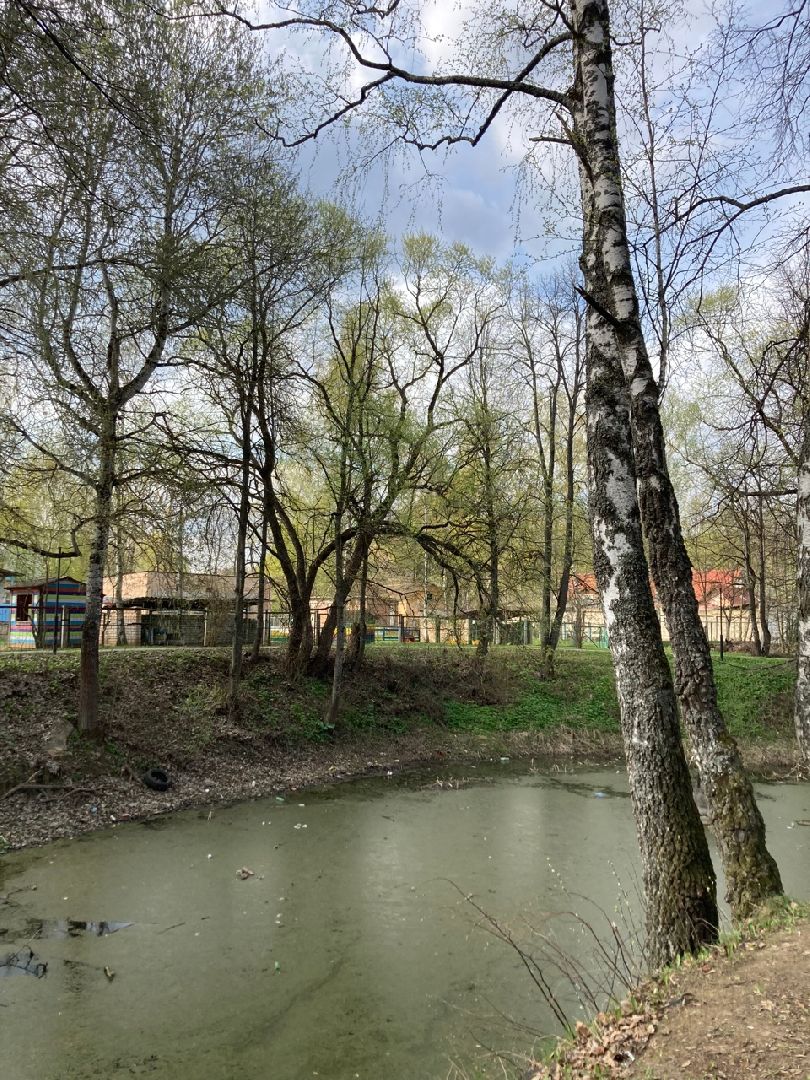 Солнечногорск, ЦМИС, пруд, благоустройство, Львовский парк