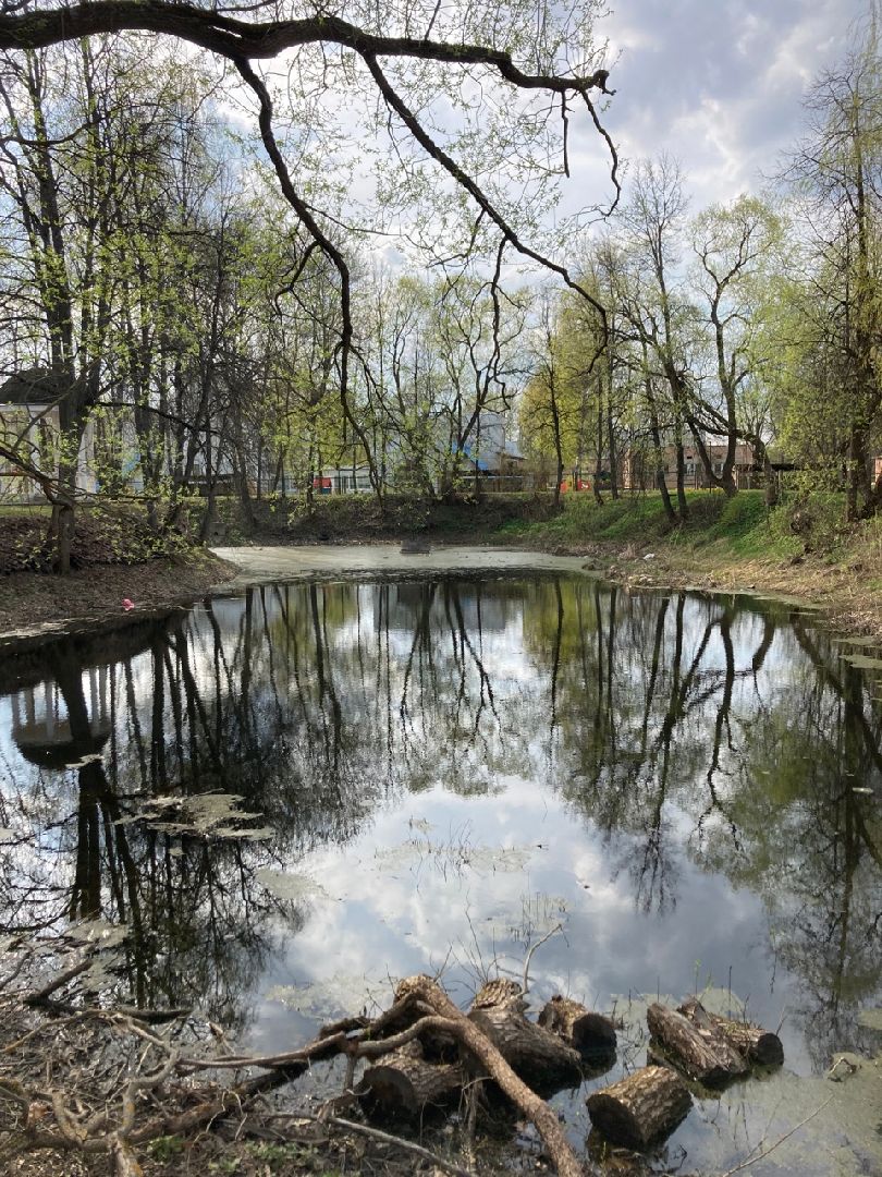 Солнечногорск, ЦМИС, пруд, благоустройство, Львовский парк