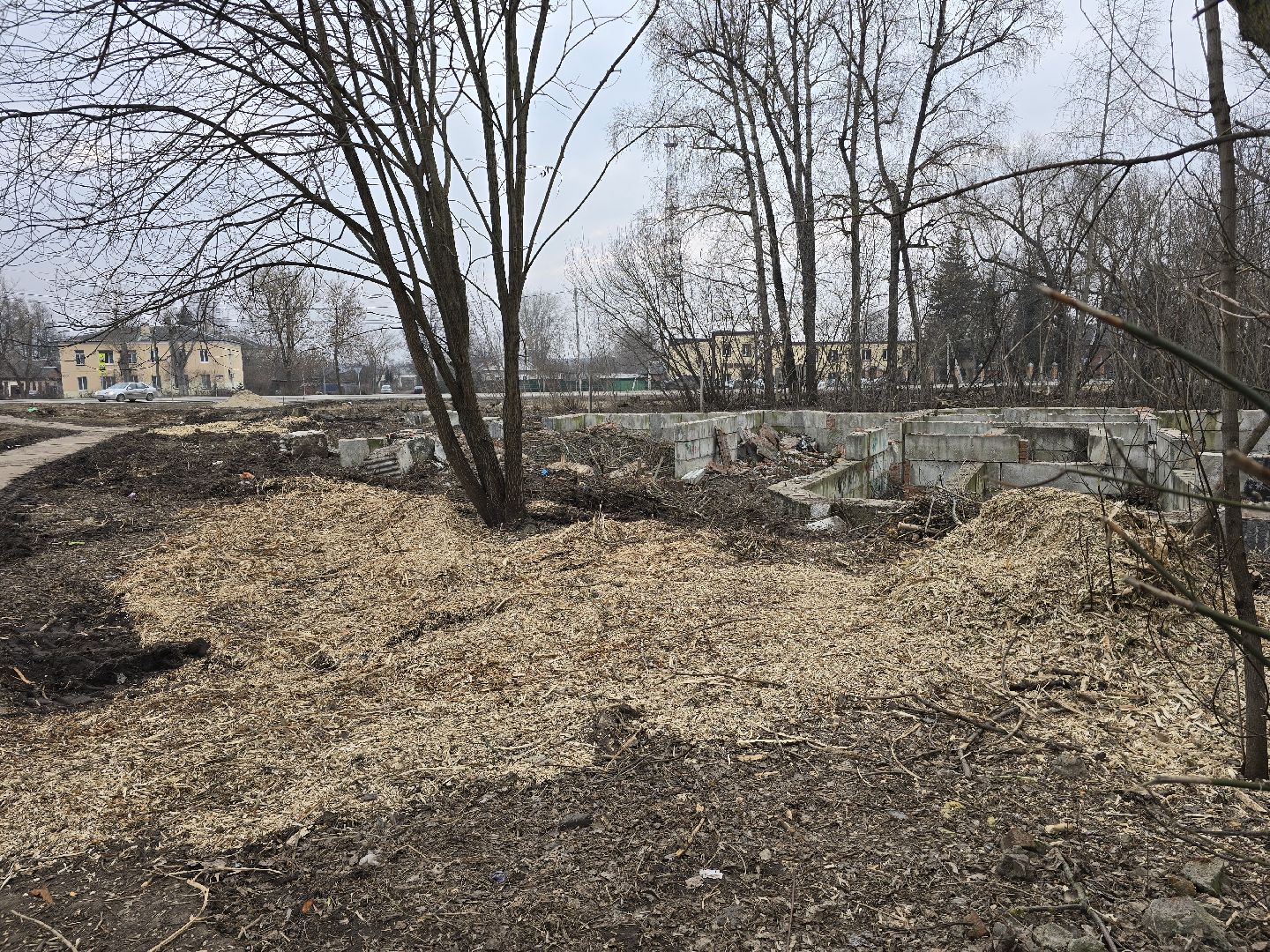 Коломна, недострой, благоустройство,