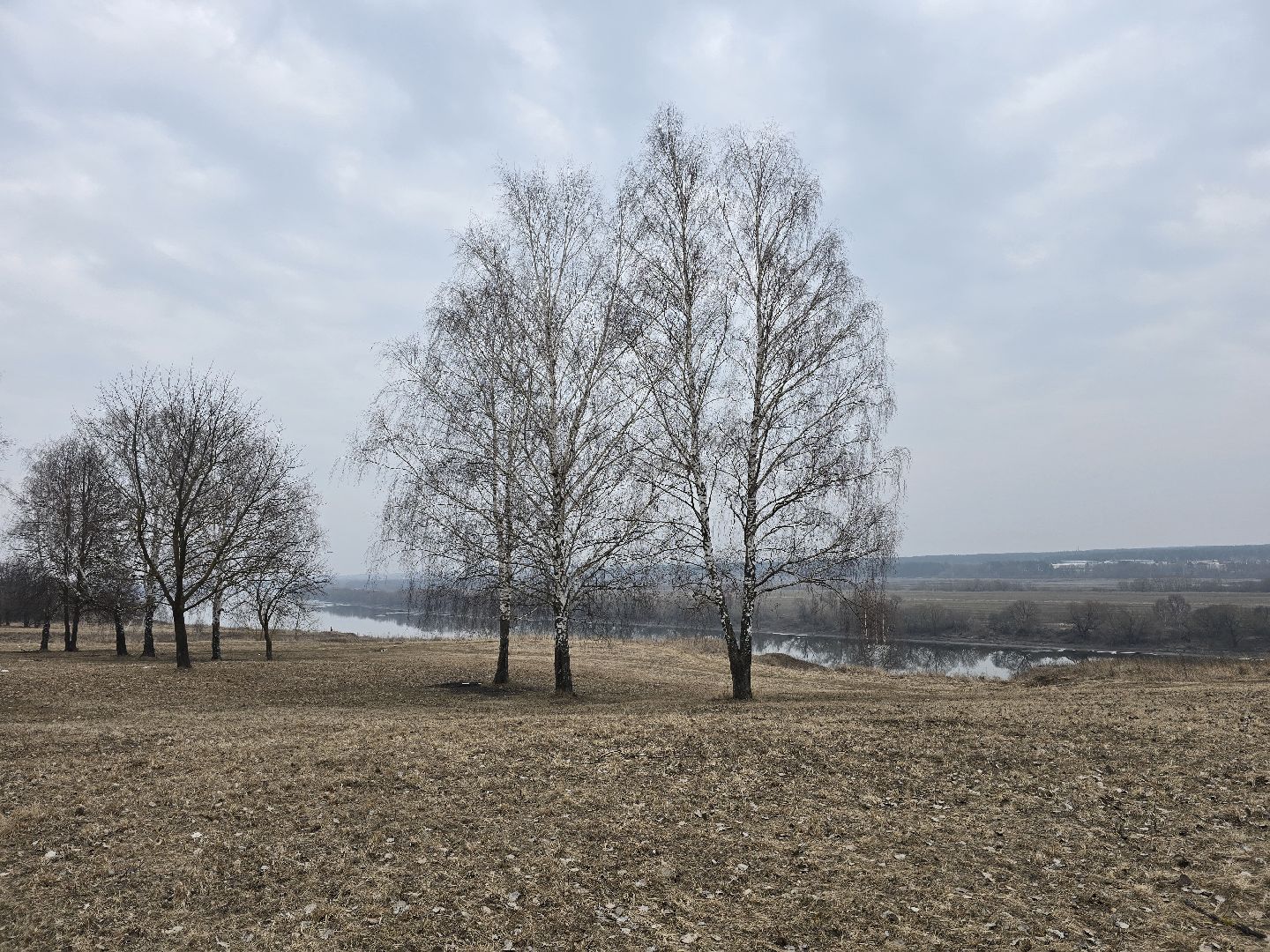 Коломна, благоустройство, парки подмосковья,