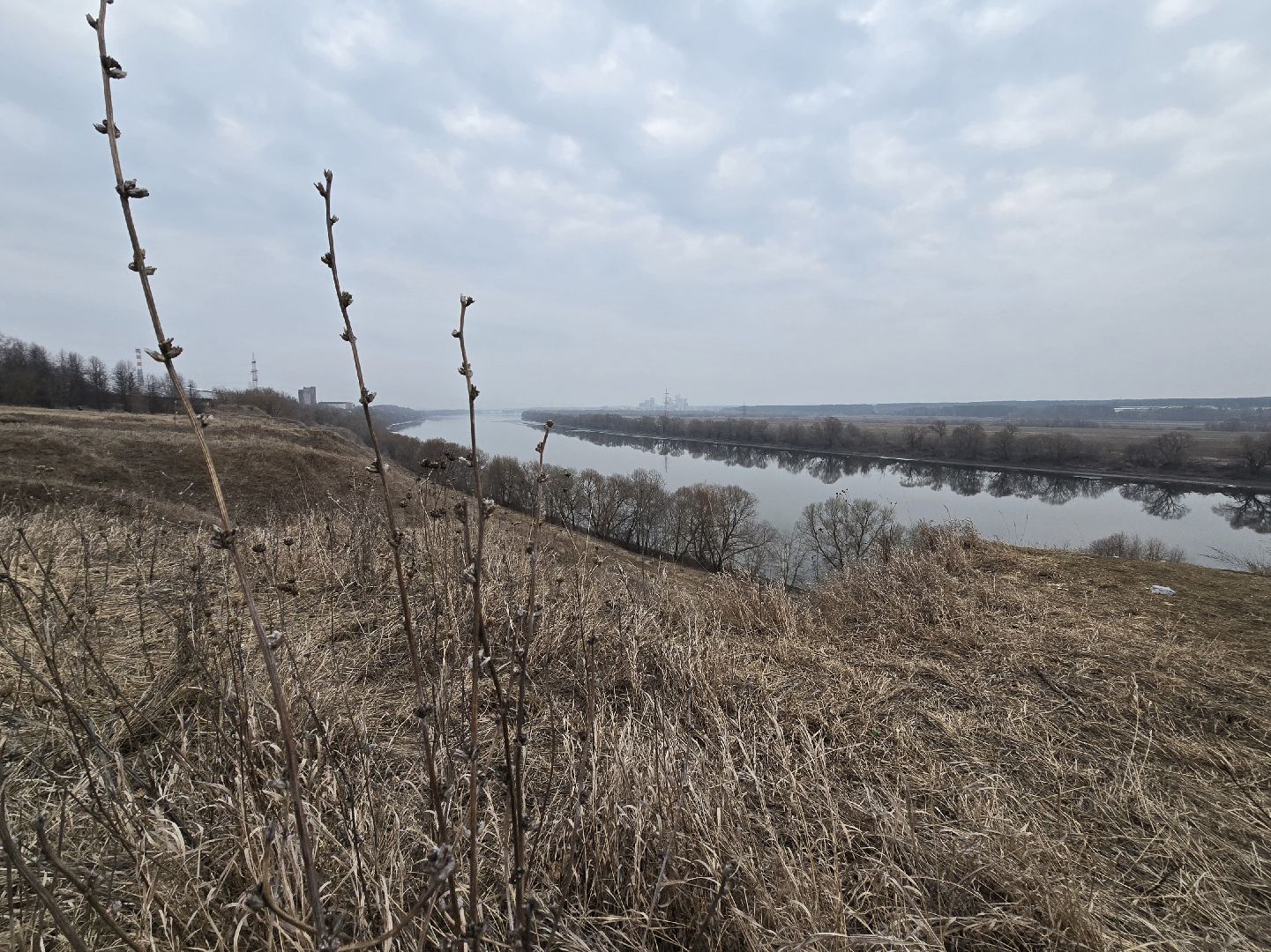 Коломна, благоустройство, парки подмосковья,