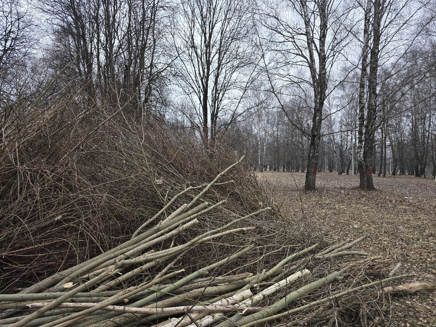 Коломна, благоустройство, парки подмосковья,