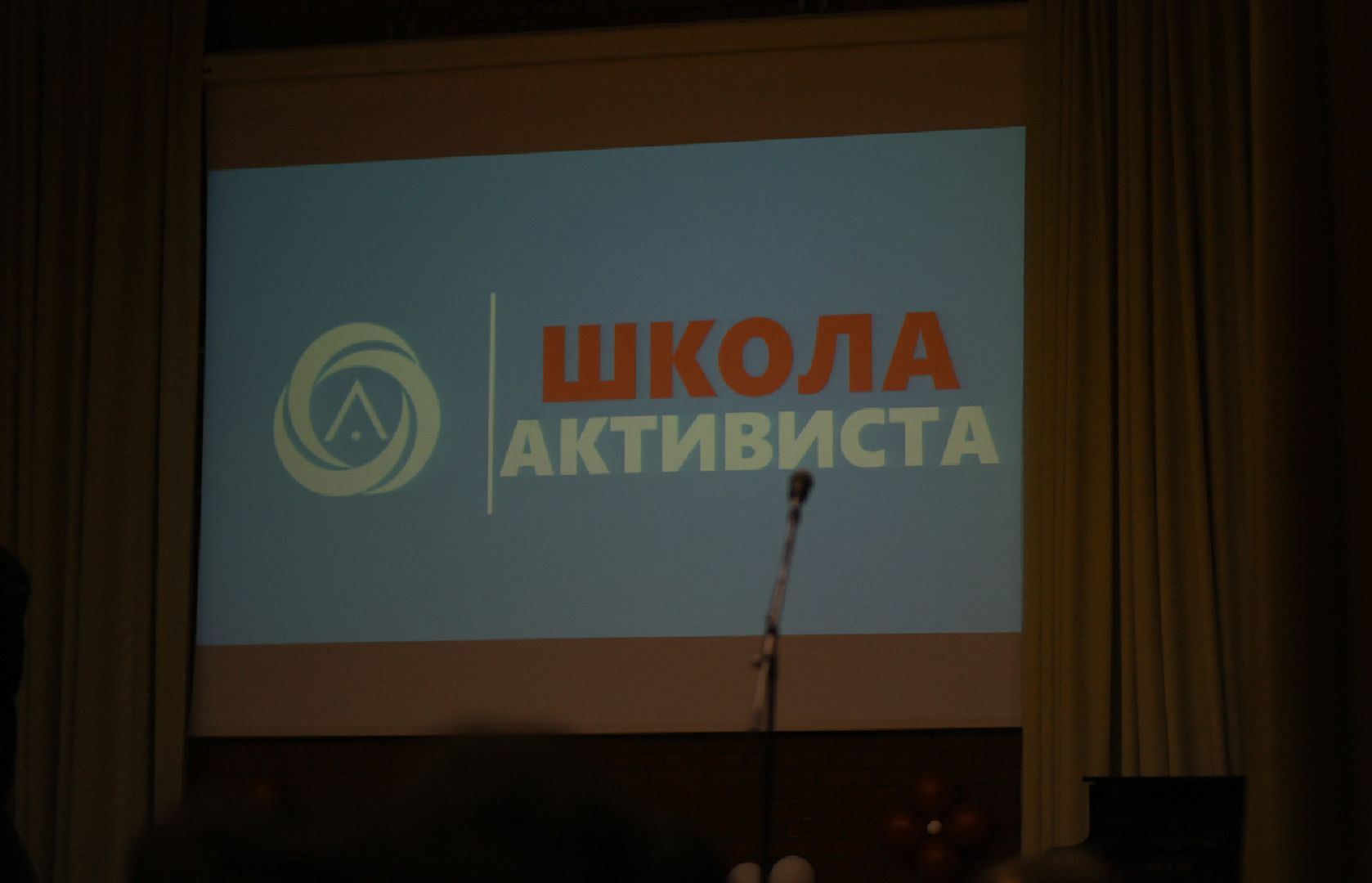 Бронницы Школа активиста