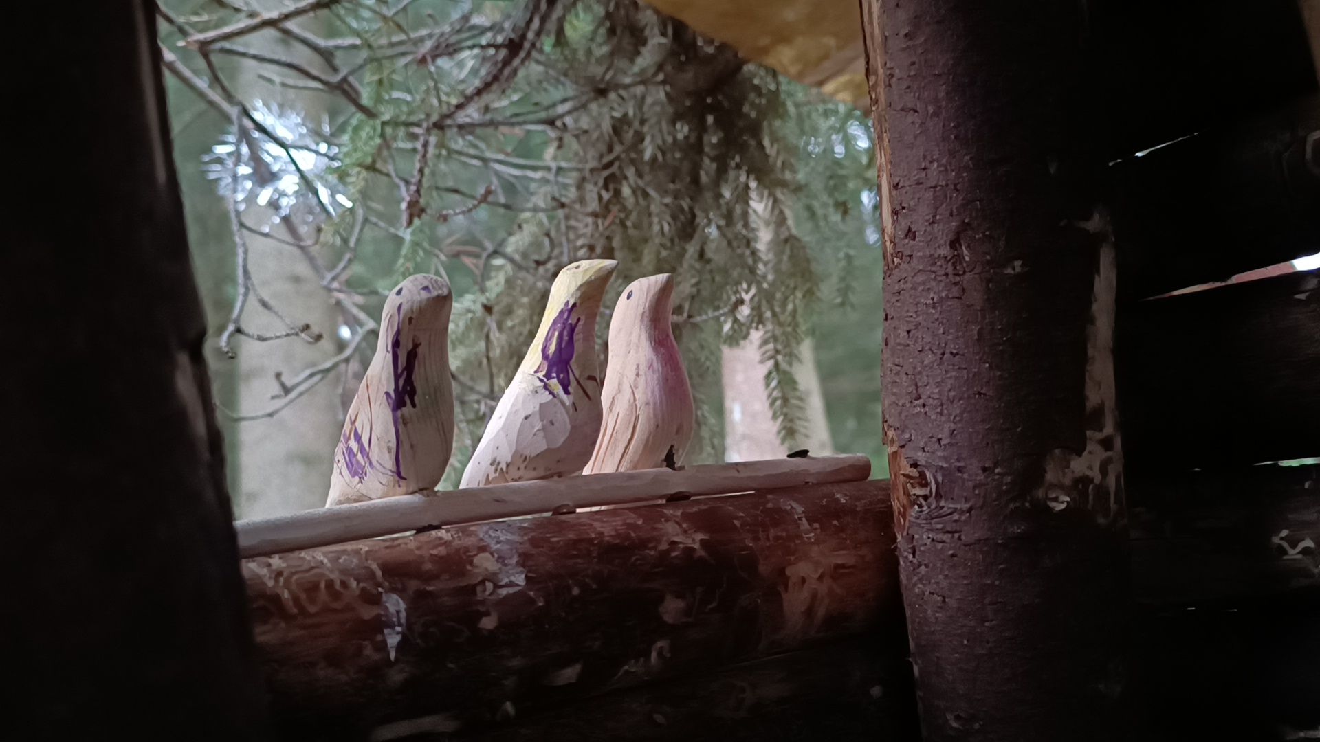 туризм, лобня, лесопарк,