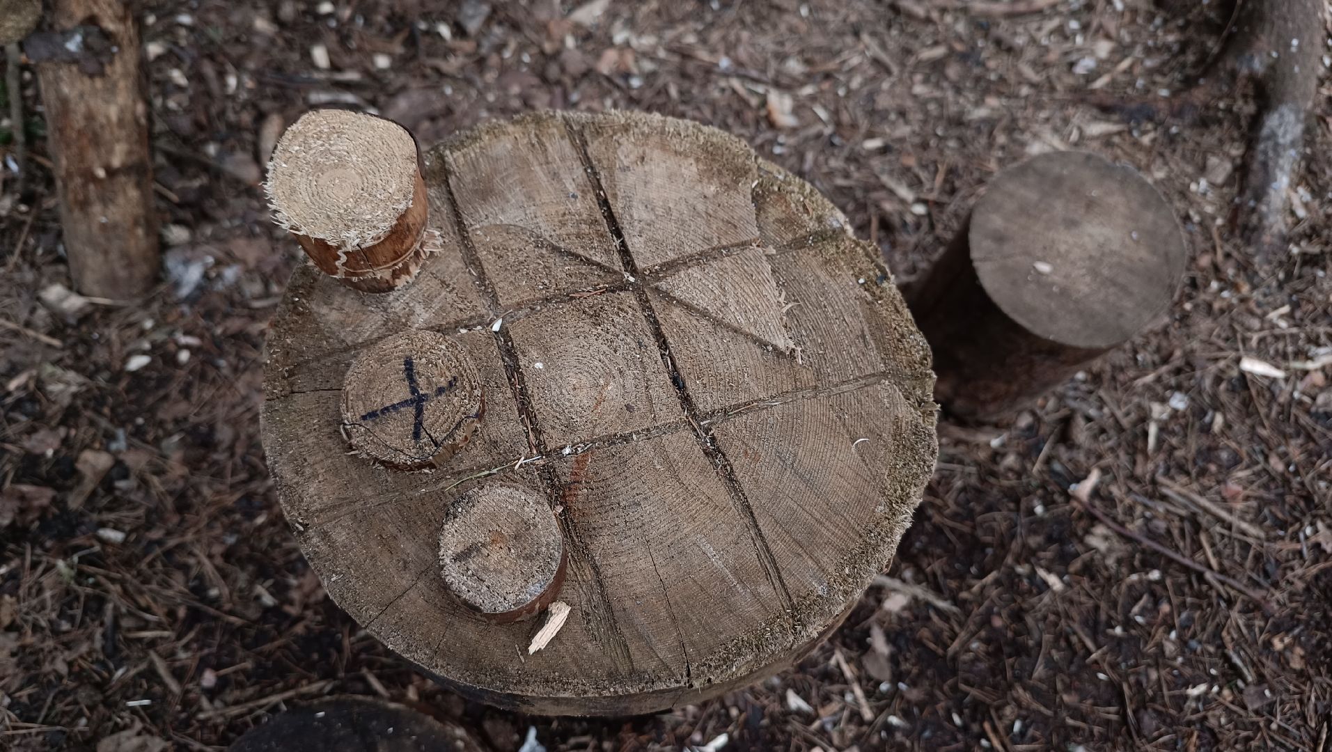 туризм, лобня, лесопарк,