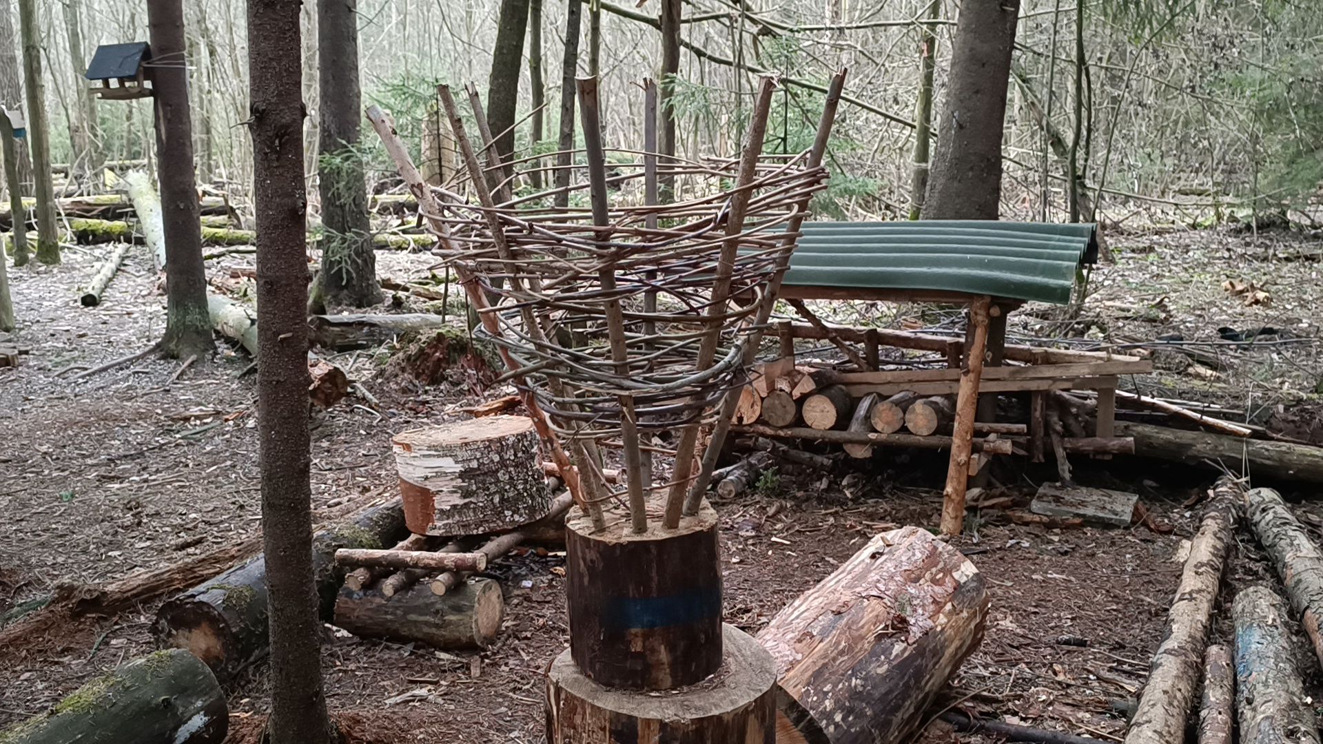 туризм, лобня, лесопарк,