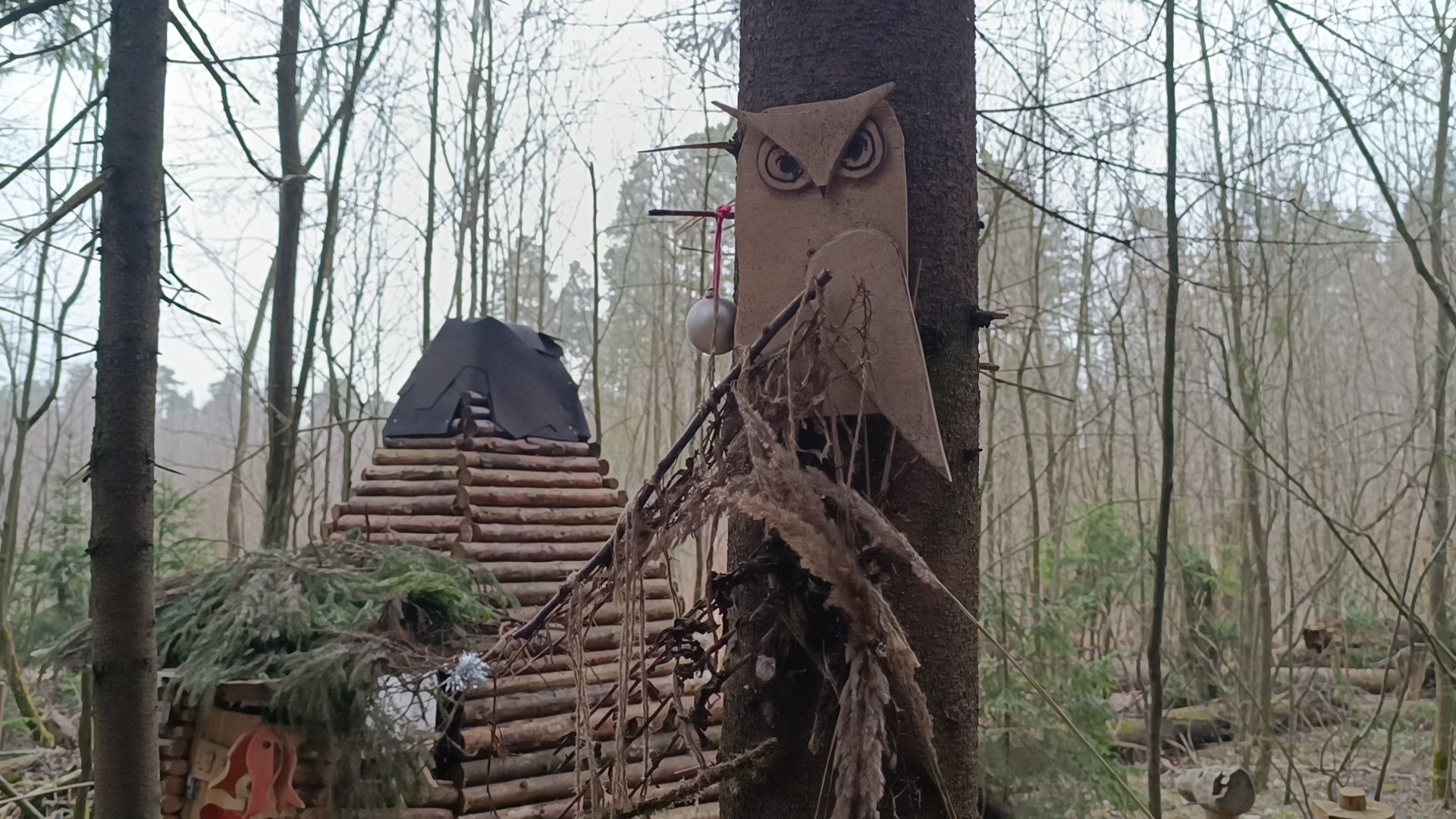 туризм, лобня, лесопарк,