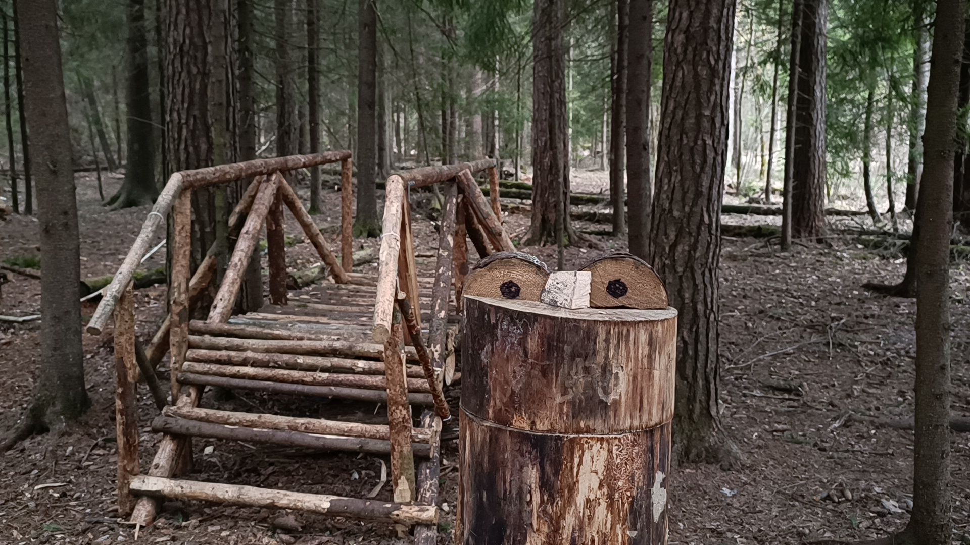 туризм, лобня, лесопарк,