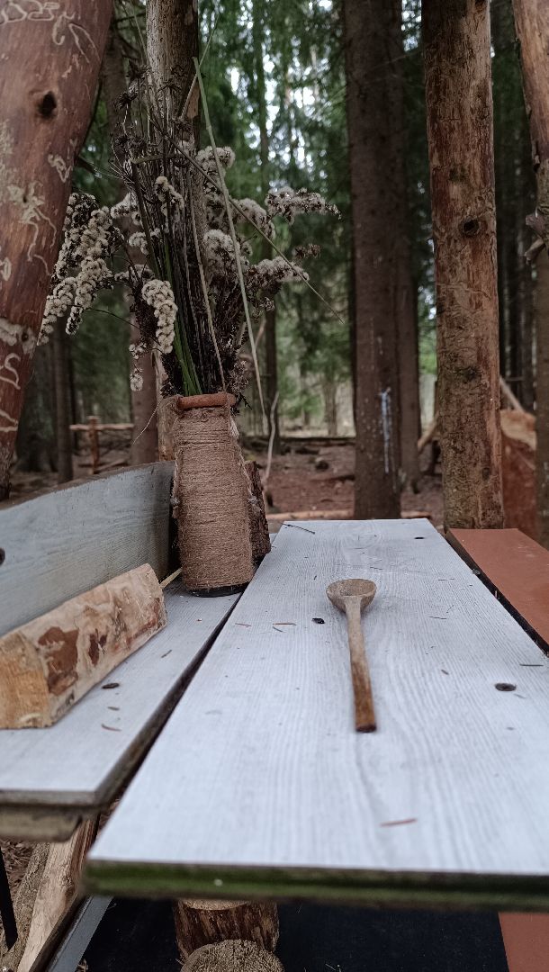 туризм, лобня, лесопарк,