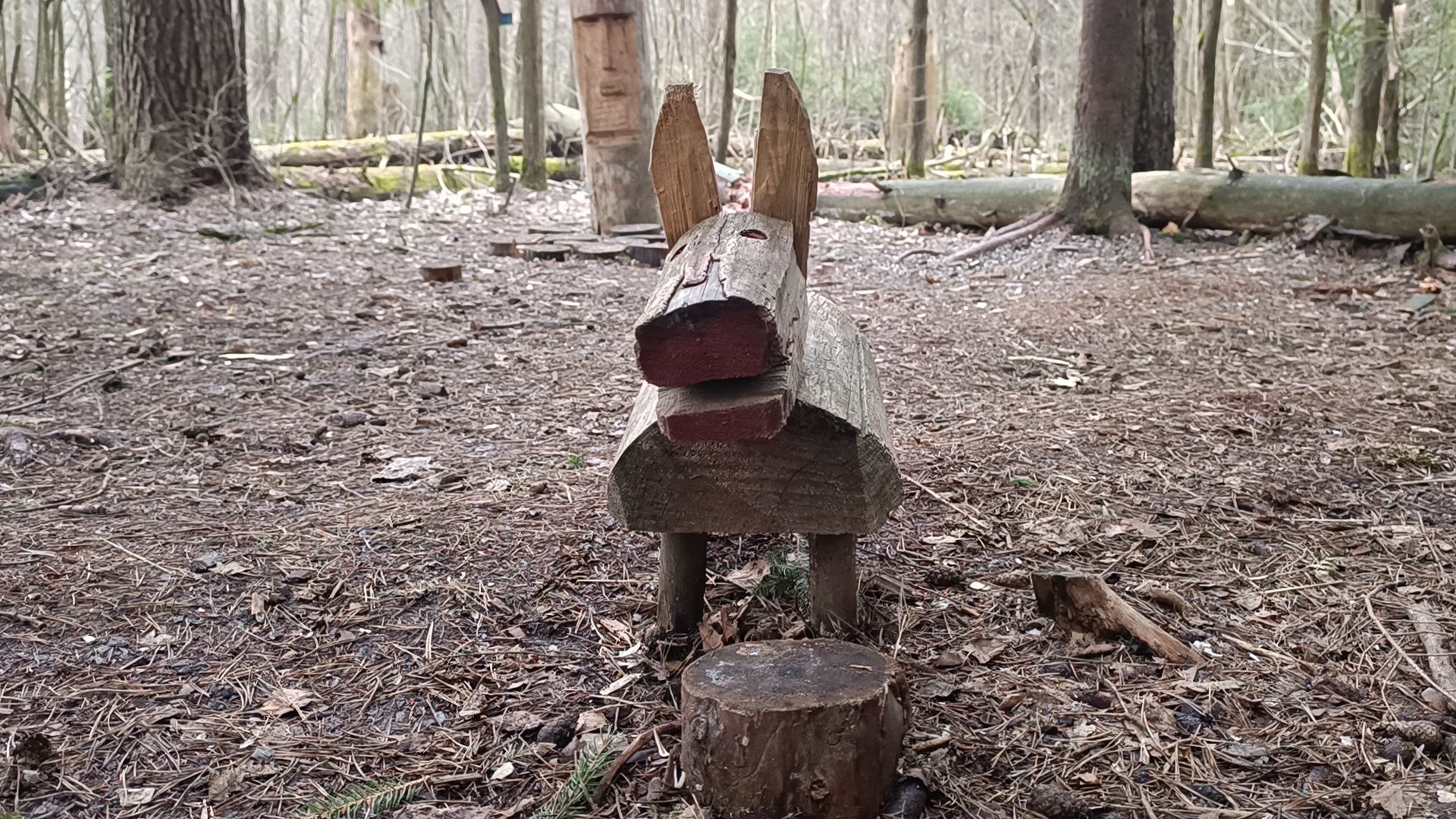 туризм, лобня, лесопарк,