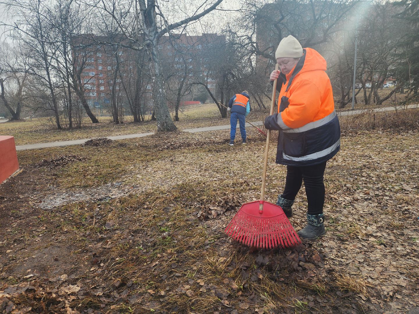 пущино, серпухов, уборка,