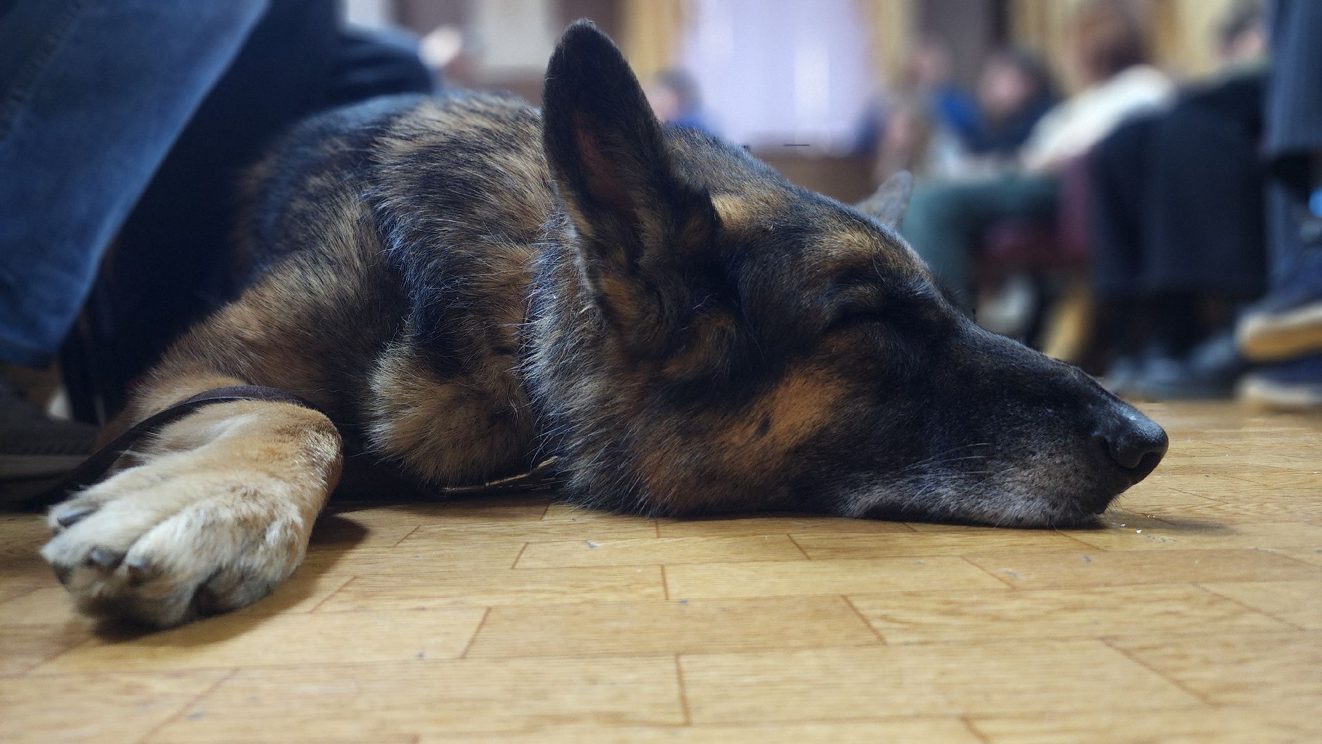 волоколамск, Центр реабилитации слепых, встреча с молодежью,