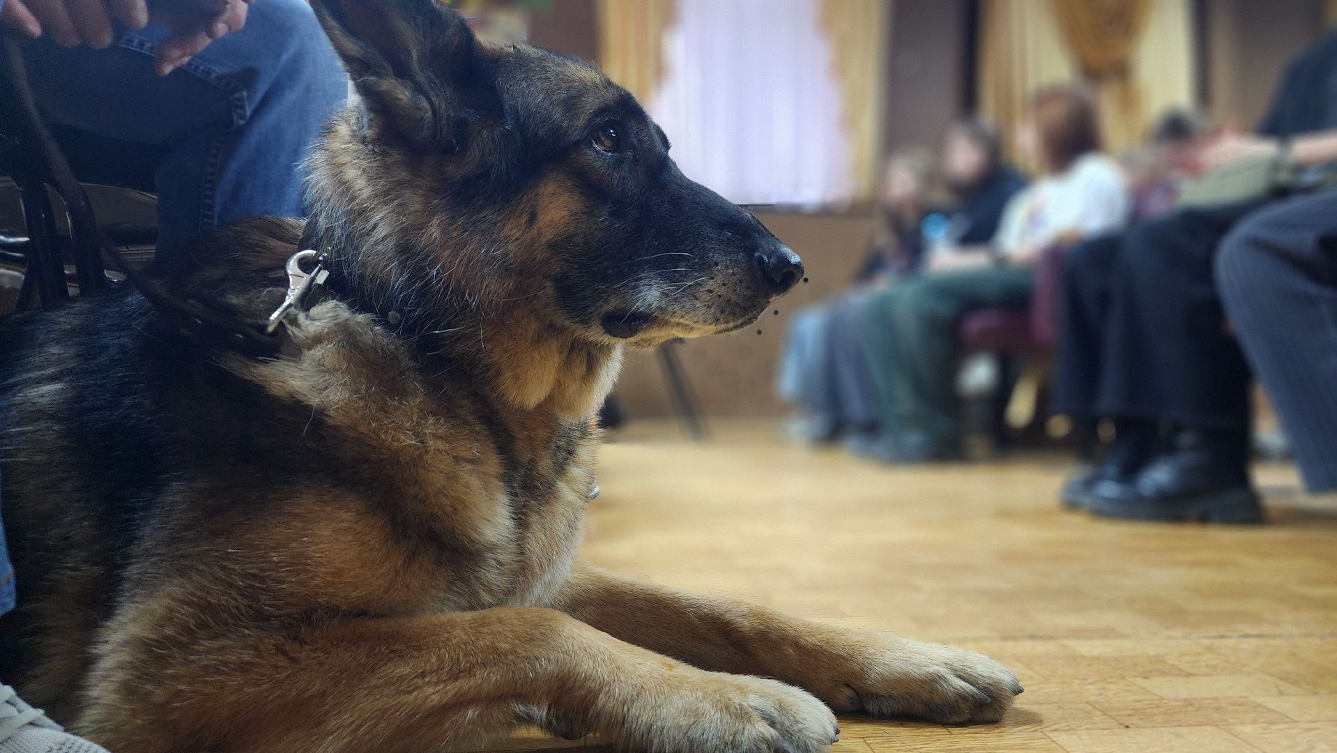 волоколамск, Центр реабилитации слепых, встреча с молодежью,