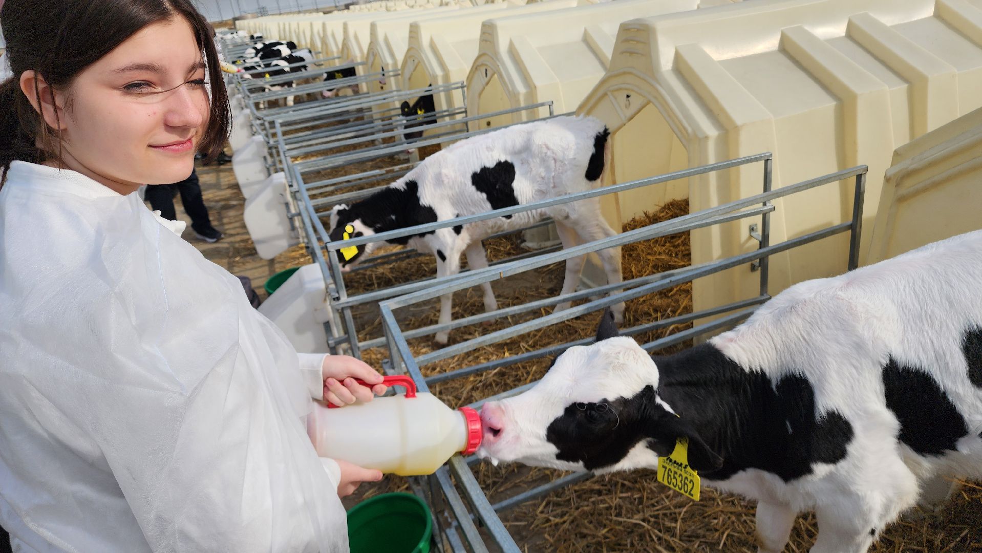 ступино, образование, агроклассы,