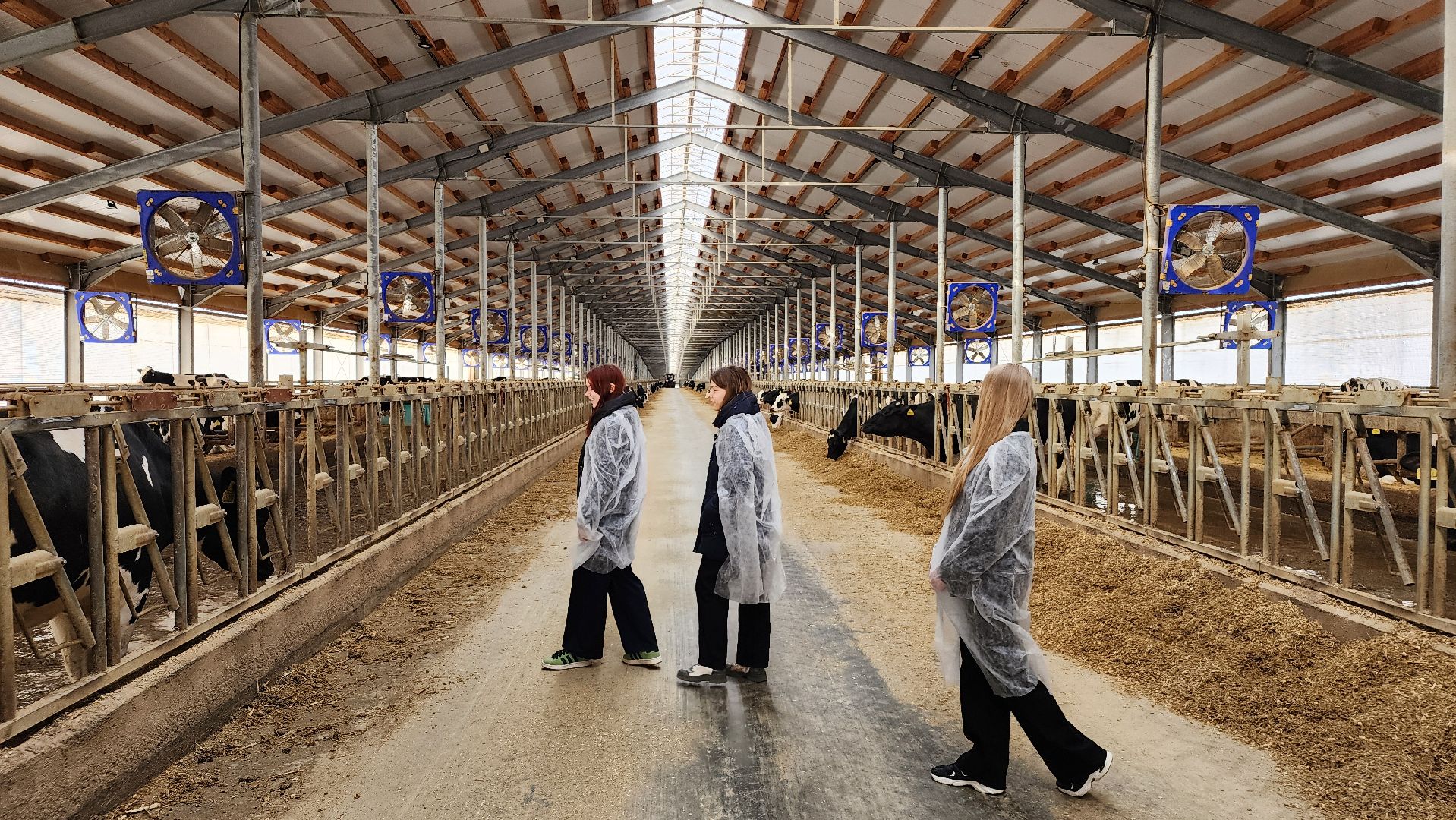 ступино, образование, агроклассы,