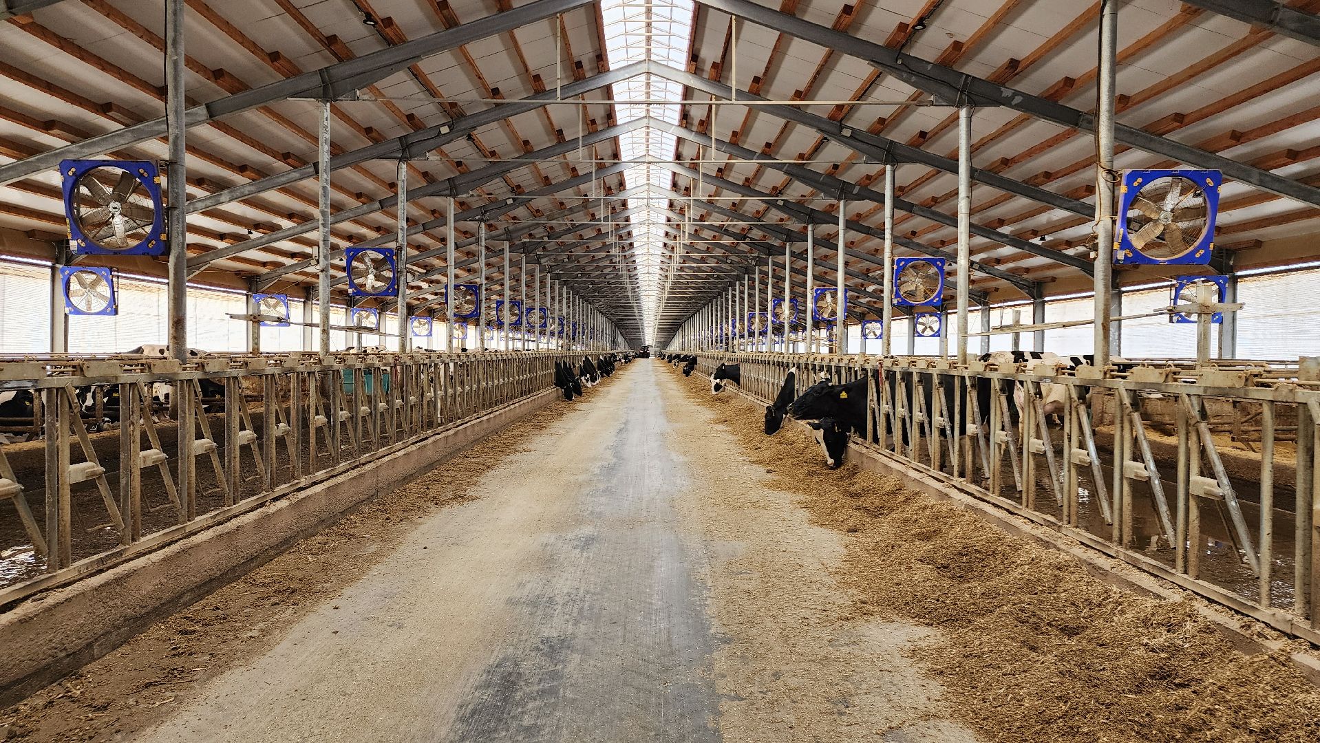 ступино, образование, агроклассы,