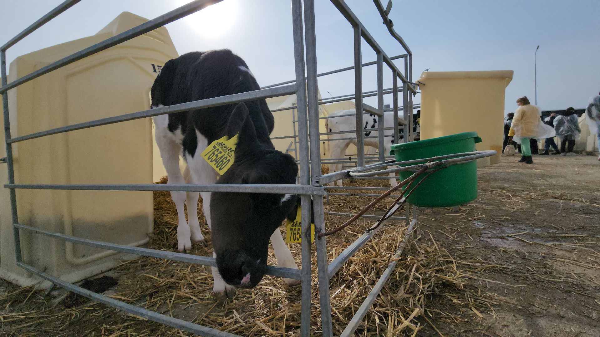 ступино, образование, агроклассы,