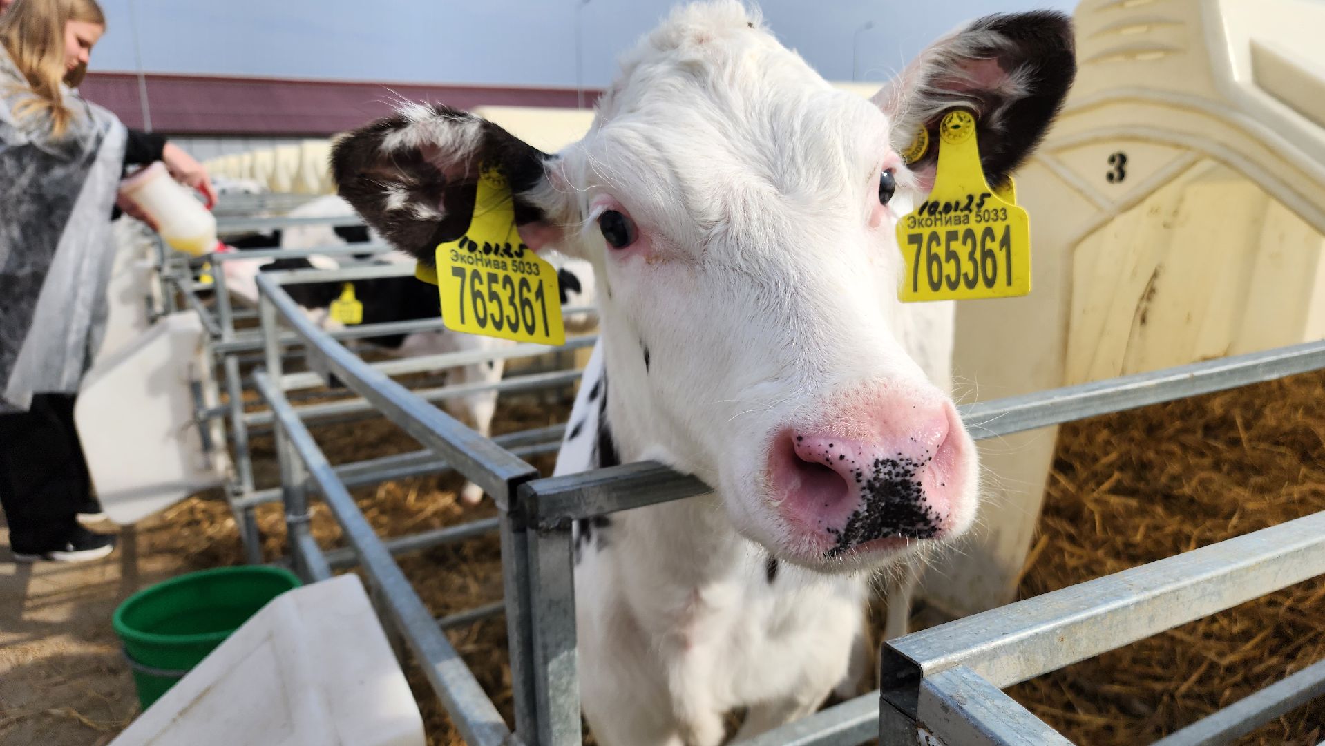 ступино, образование, агроклассы,