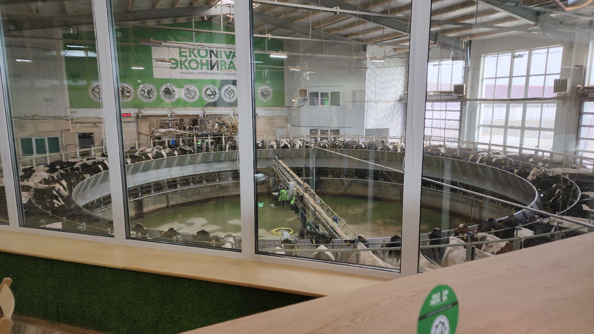 ступино, образование, агроклассы,