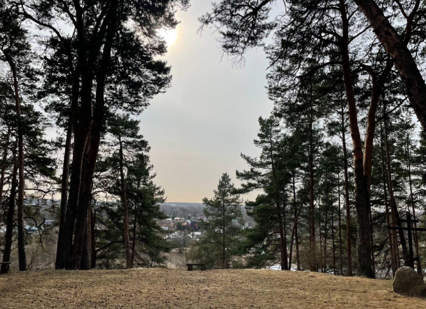 Экология, Пешие проогулки, Благоустройство, Звенигород,