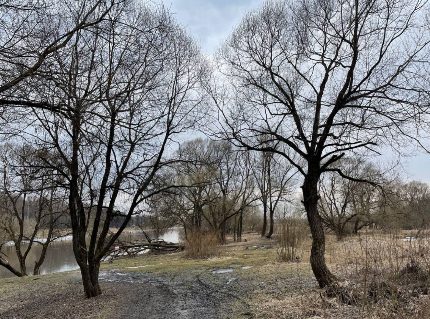 Экология, Пешие проогулки, Благоустройство, Звенигород,