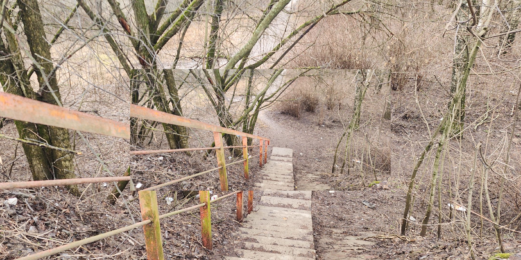 Экология, Пешие проогулки, Благоустройство, Звенигород,