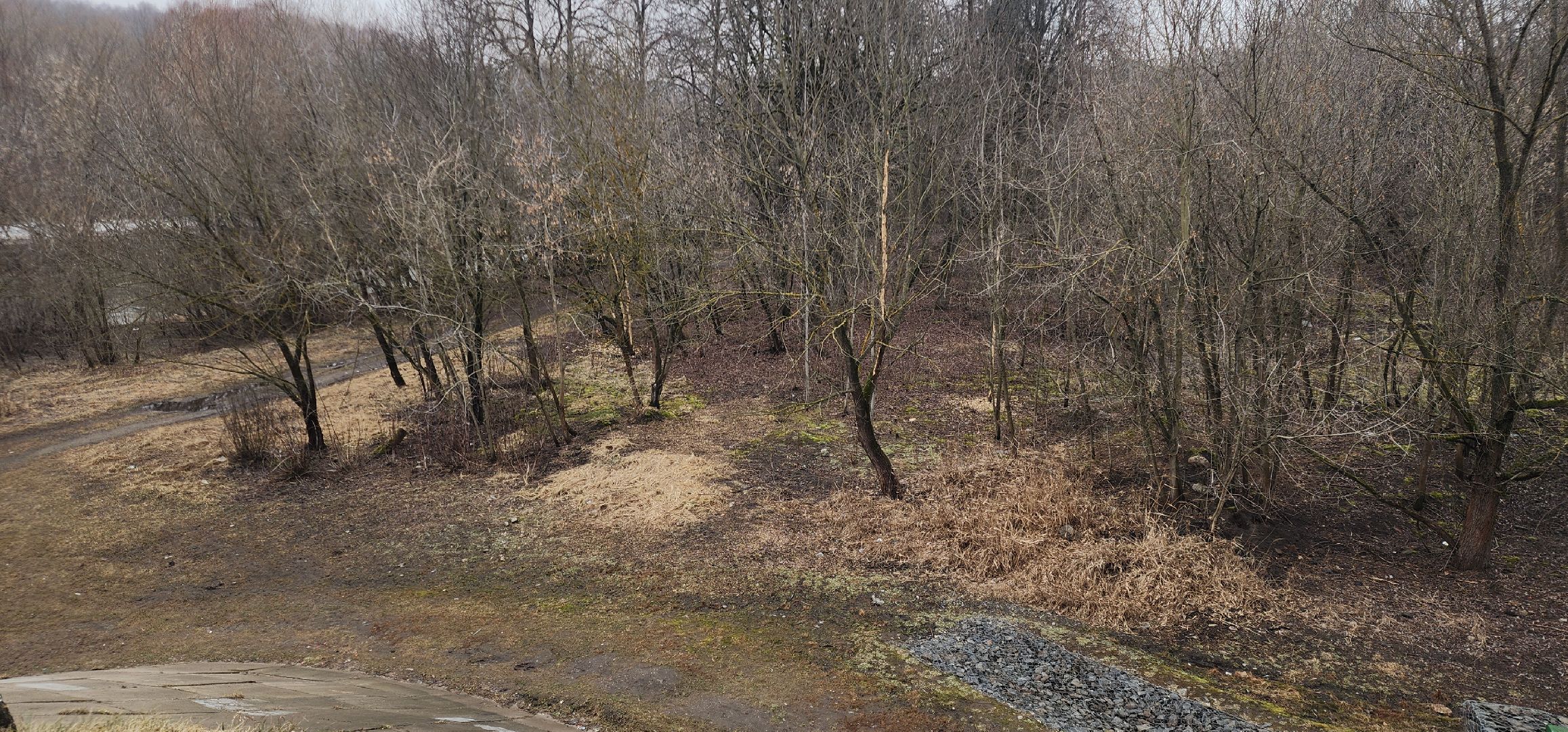 Экология, Пешие проогулки, Благоустройство, Звенигород,